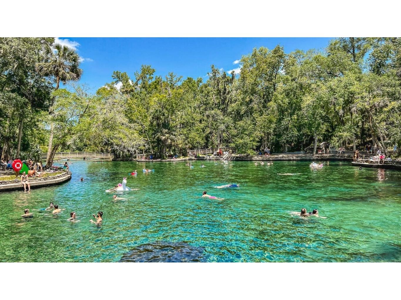 2604 Long Pine Avenue Apopka FL 32712 O6361086 image18