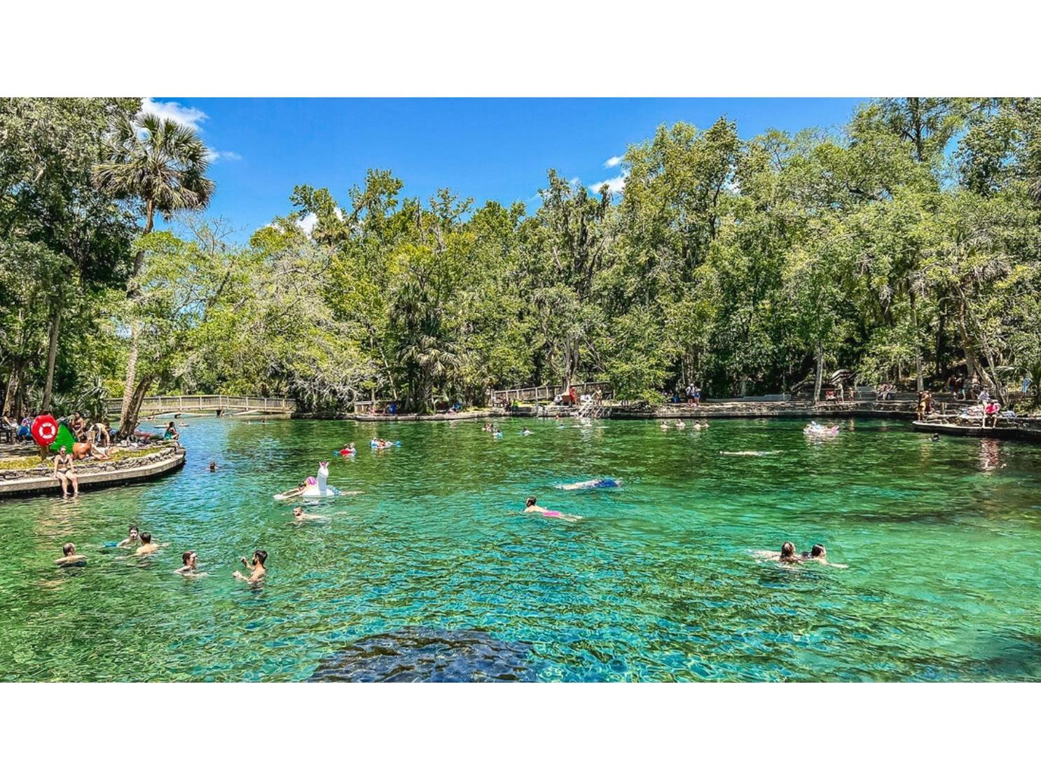 2604 Long Pine Avenue Apopka FL 32712 O6361086 image29