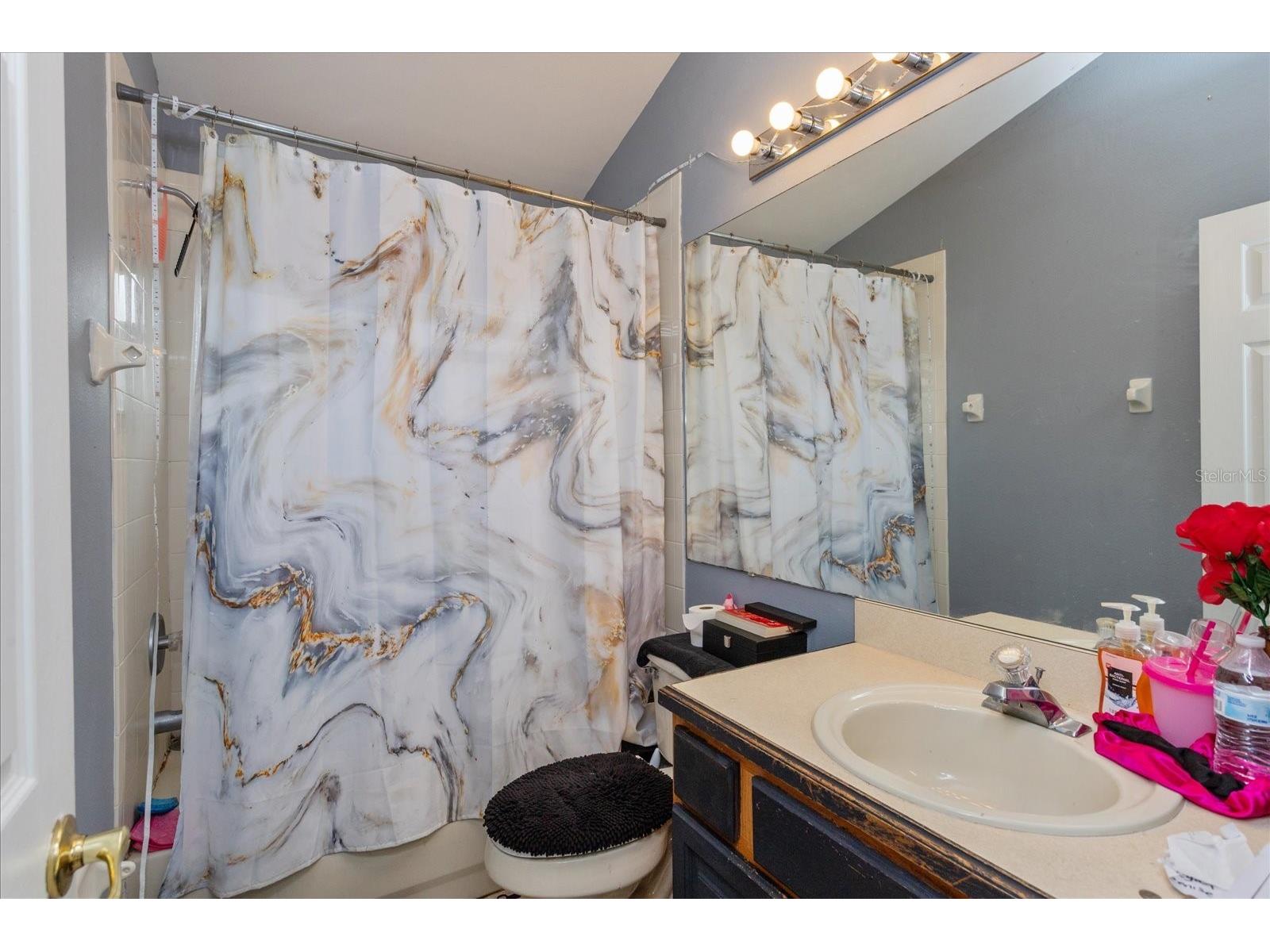 2604 Luiseno Way Kissimmee FL 34747 O6369029 image9