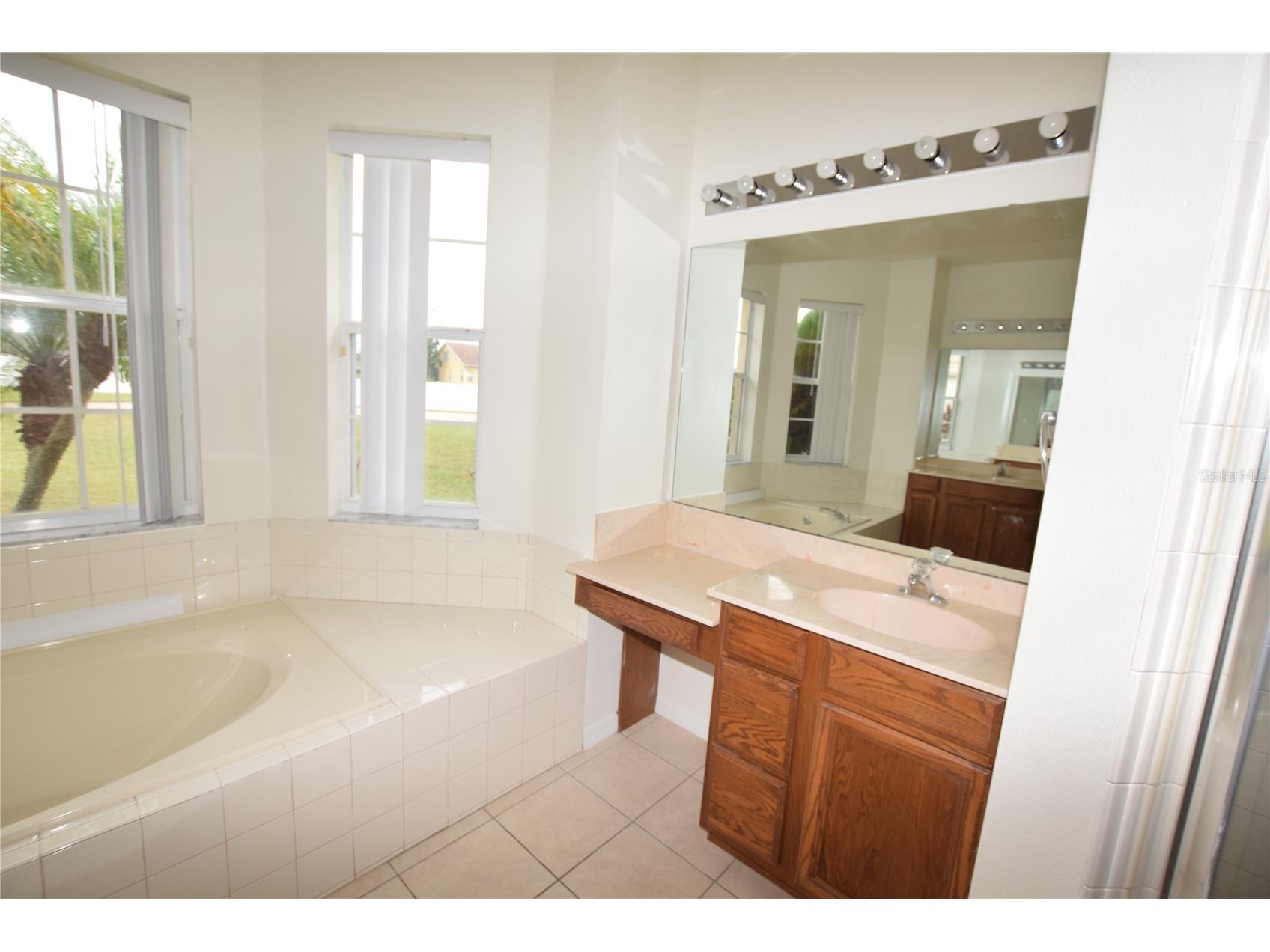 2604 Lutza Way Kissimmee FL 34746 O6376117 image38