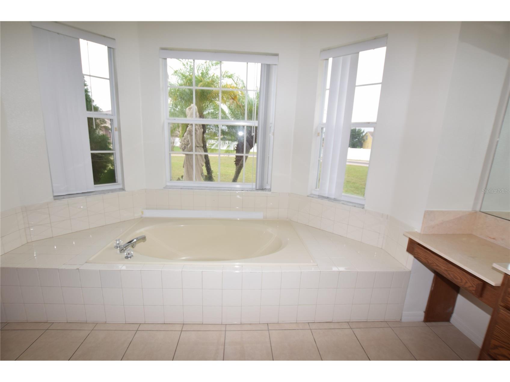 2604 Lutza Way Kissimmee FL 34746 O6376117 image39