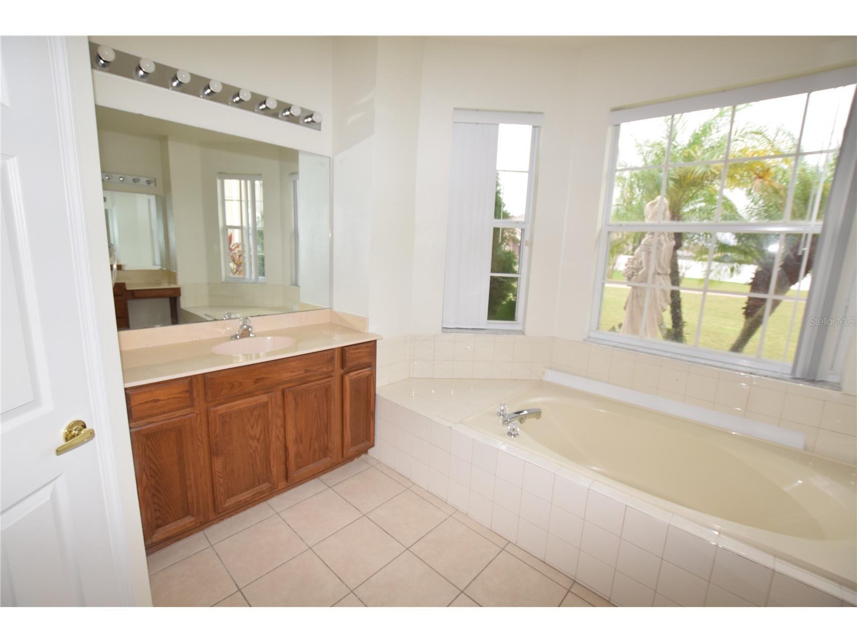 2604 Lutza Way Kissimmee FL 34746 O6376117 image40