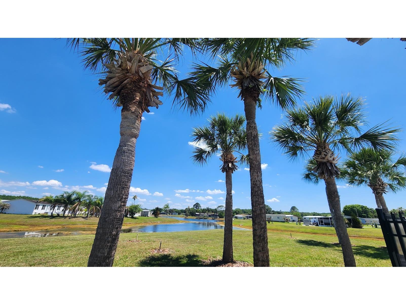 2604 Mcdaniel Drive Kissimmee FL 34758 S5147848 image20