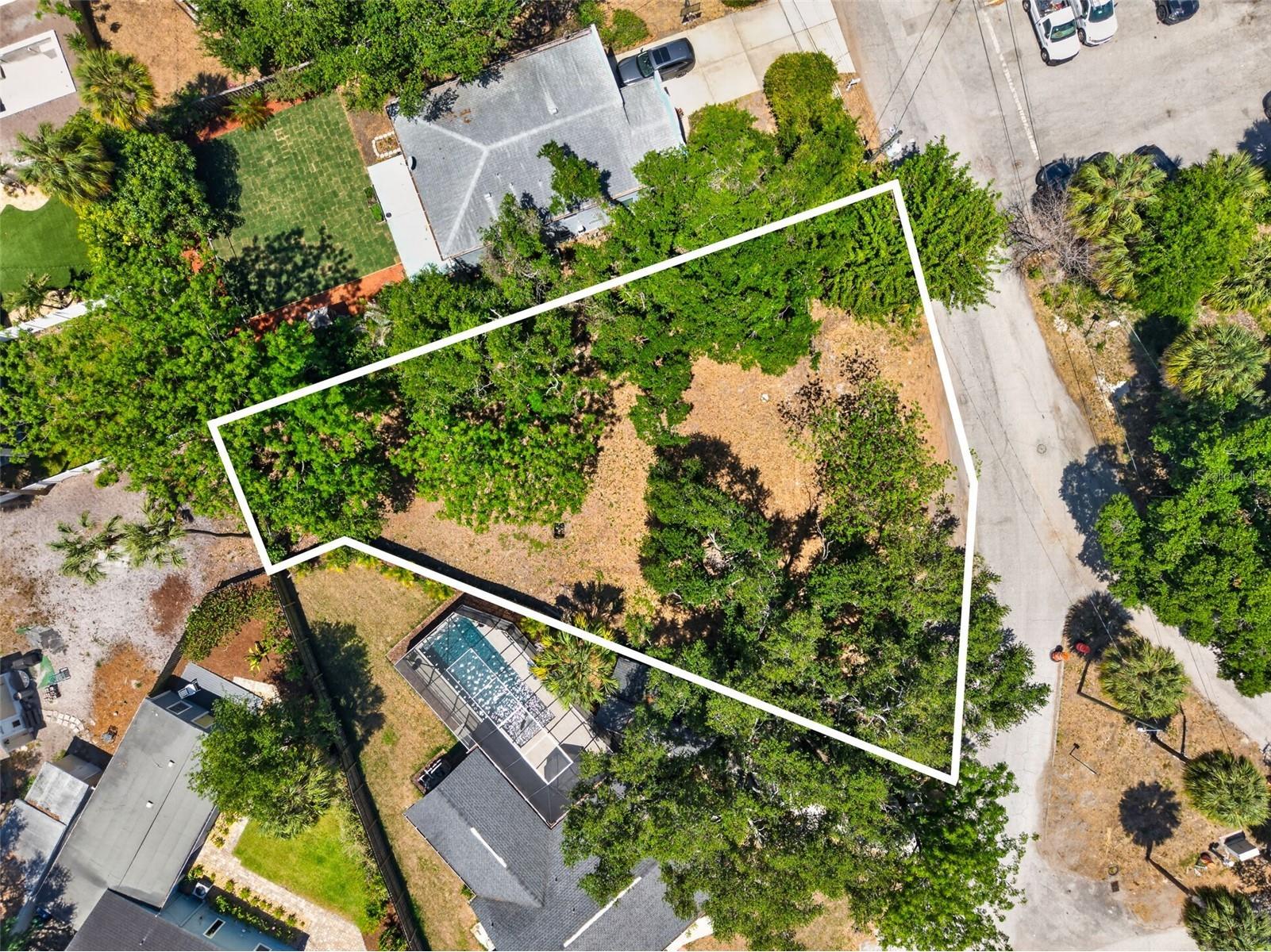 2604 N Cleveland Street Tampa FL 33609 TB8505442 image1