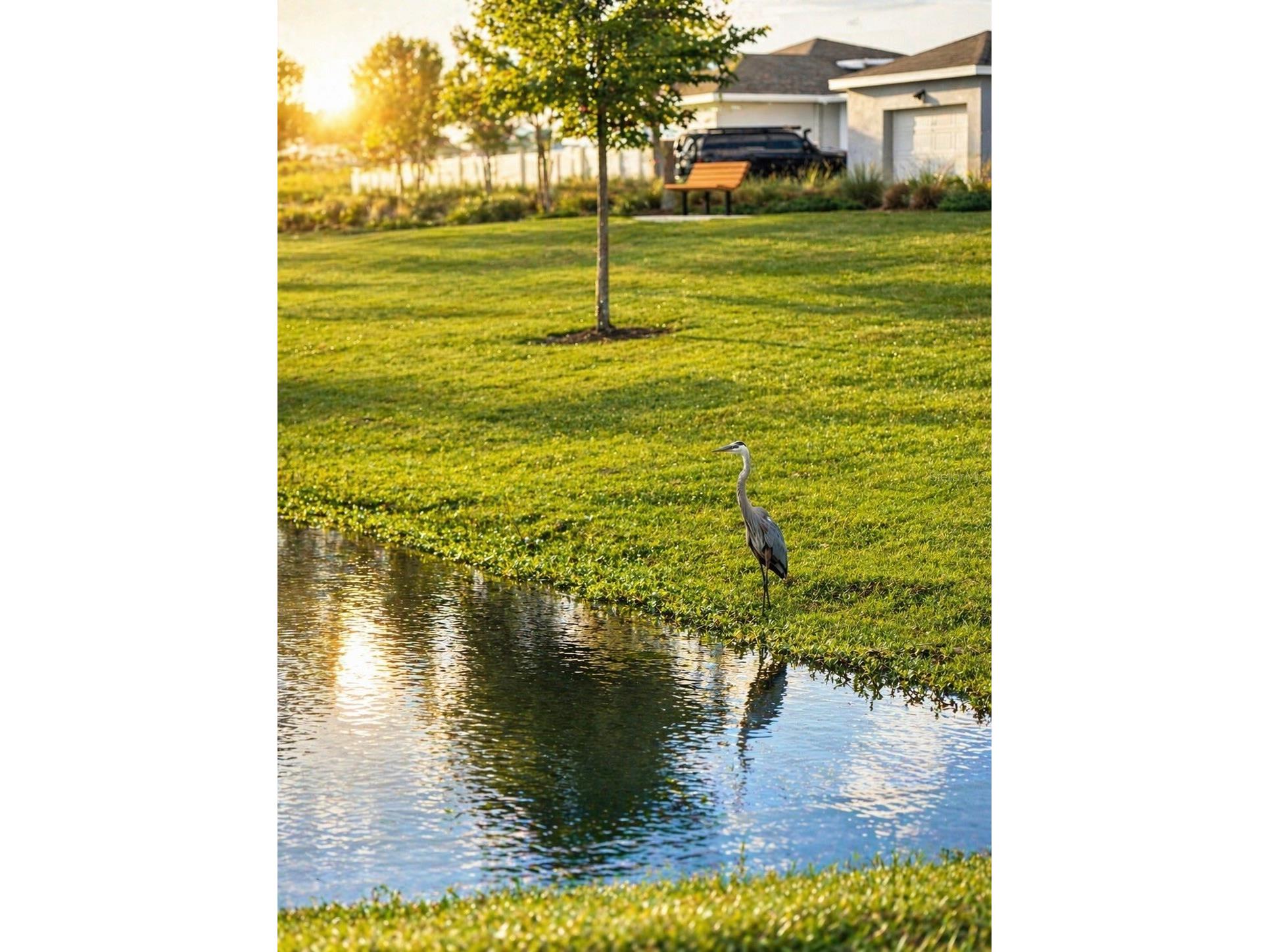 2604 Summer Clouds Way Kissimmee FL 34744 O6401673 image51