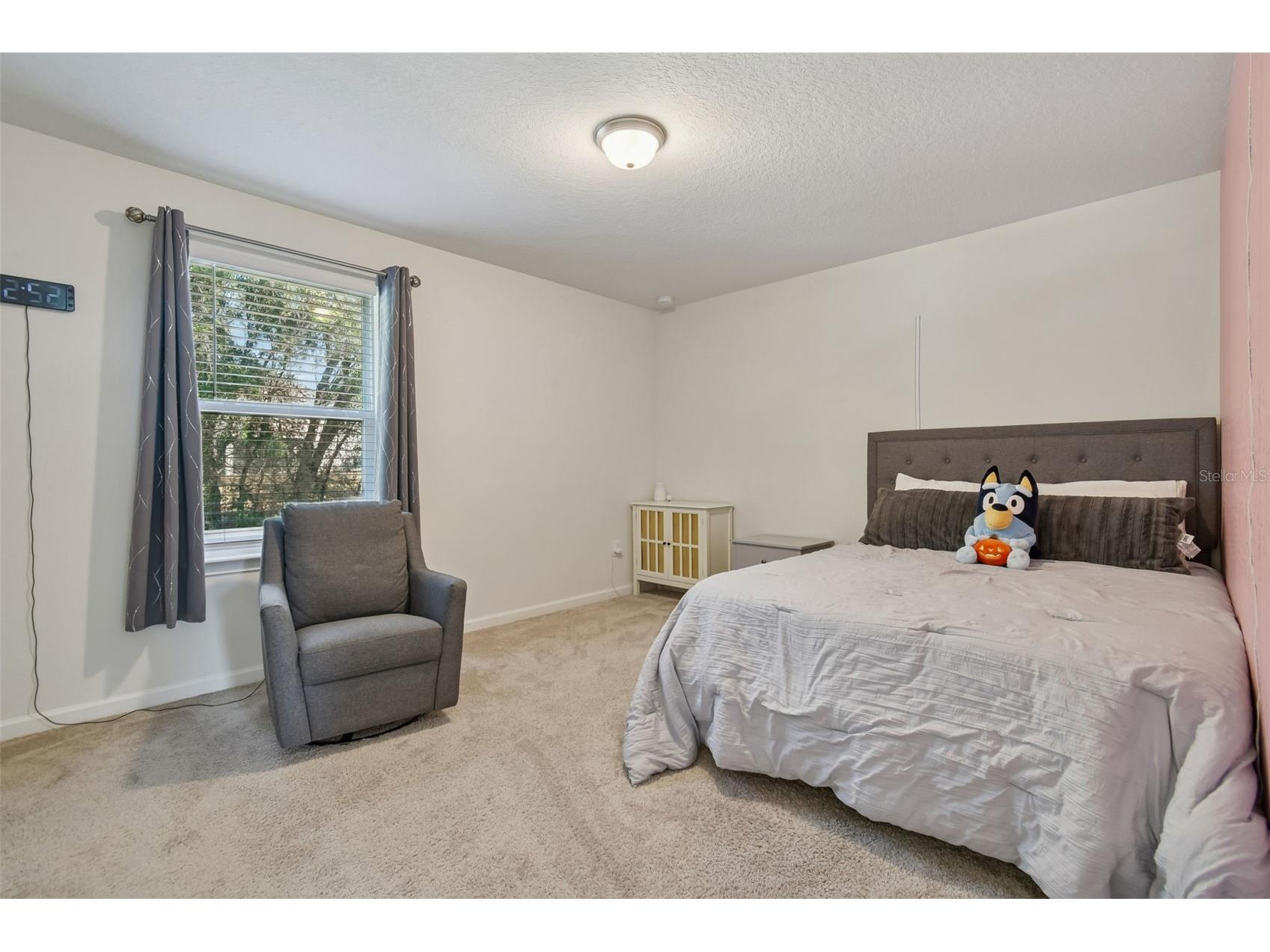 2604 Valley Sunset Lane Valrico FL 33594 TB8473138 image45