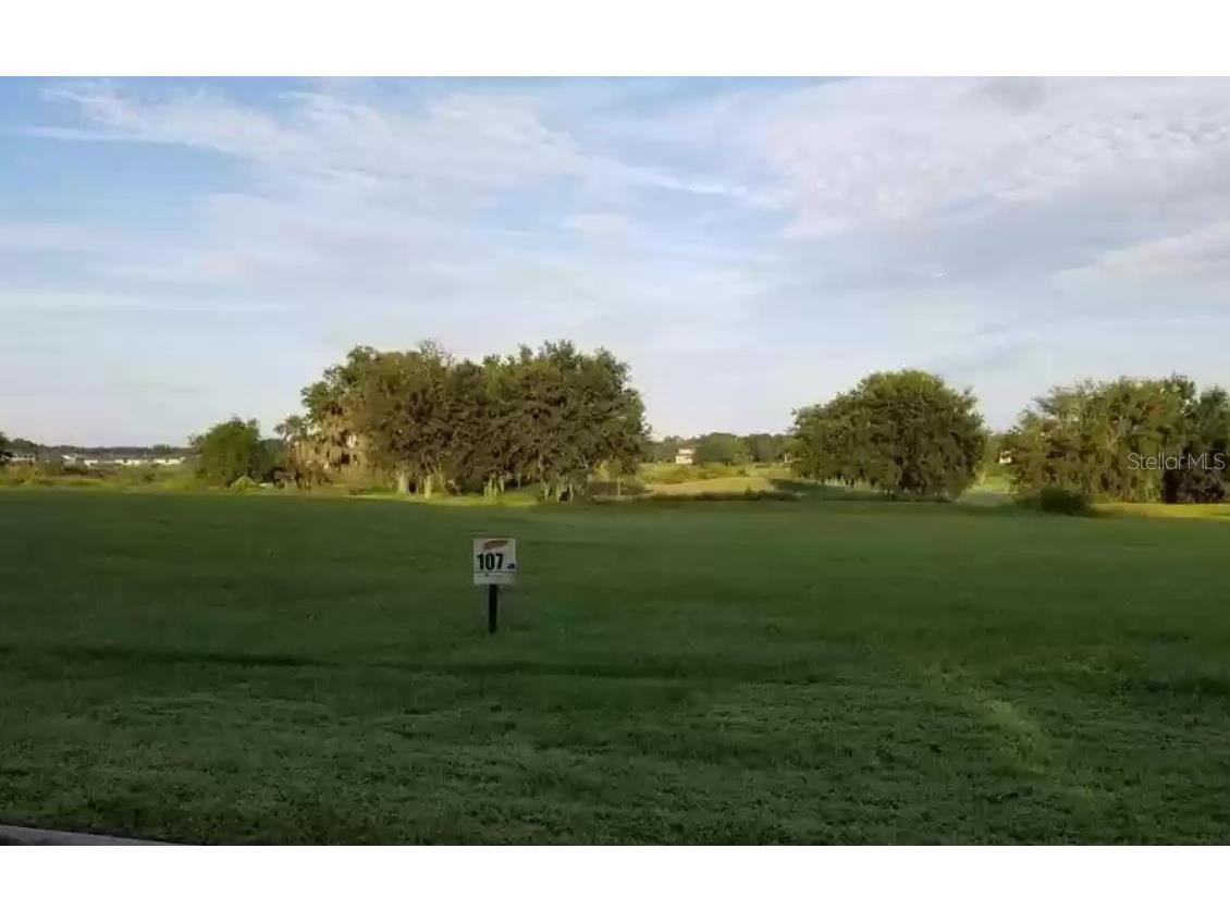 26042 Estates Ridge Drive Sorrento FL 32776 O6056317 image1