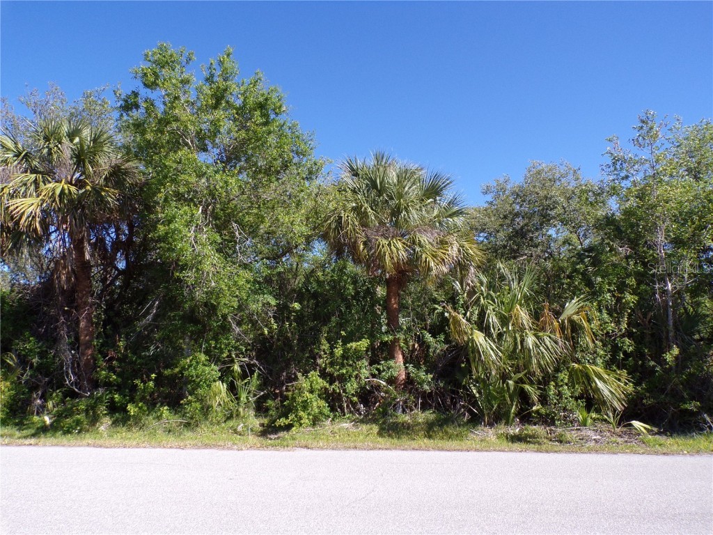26046 Scham Road Punta Gorda FL 33955 C7507284 image1