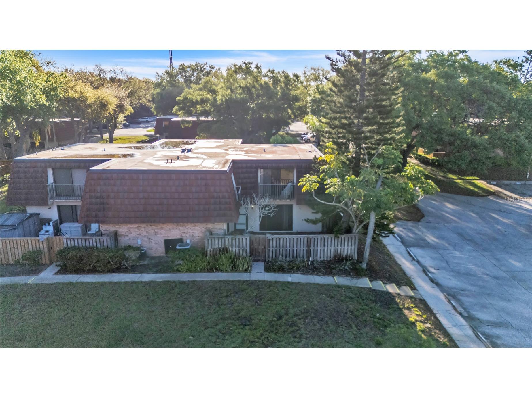 2605 10th Court Palm Harbor FL 34684 W7884106 image3