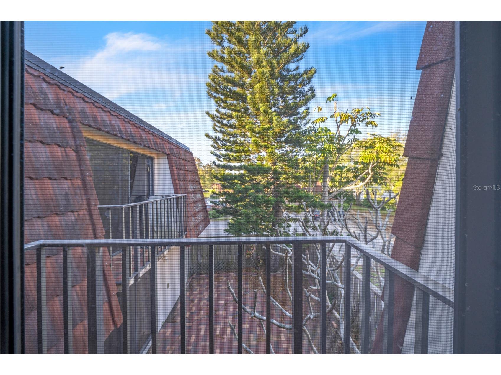 2605 10th Court Palm Harbor FL 34684 W7884106 image35