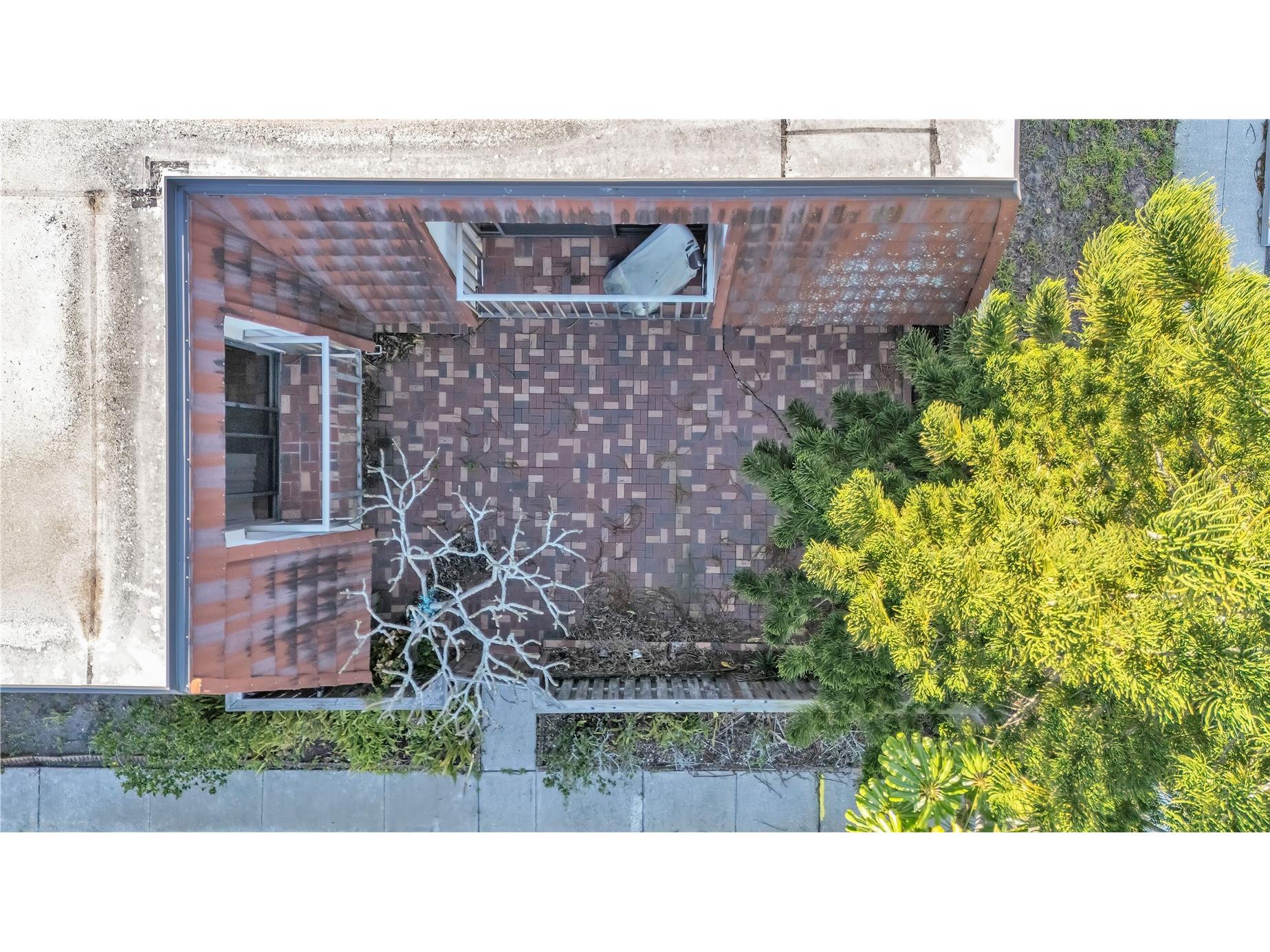 2605 10th Court Palm Harbor FL 34684 W7884106 image4