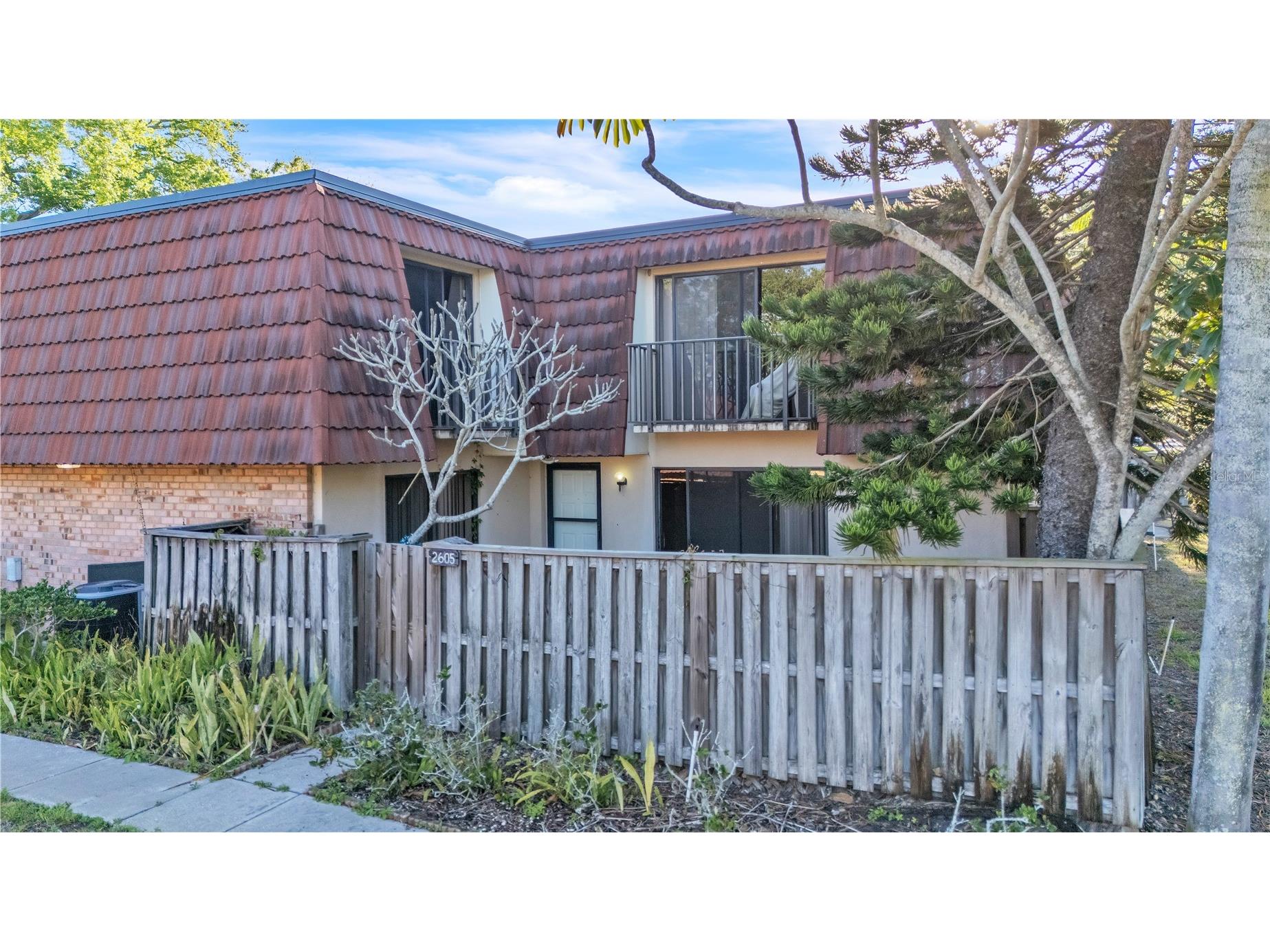 2605 10th Court Palm Harbor FL 34684 W7884106 image5