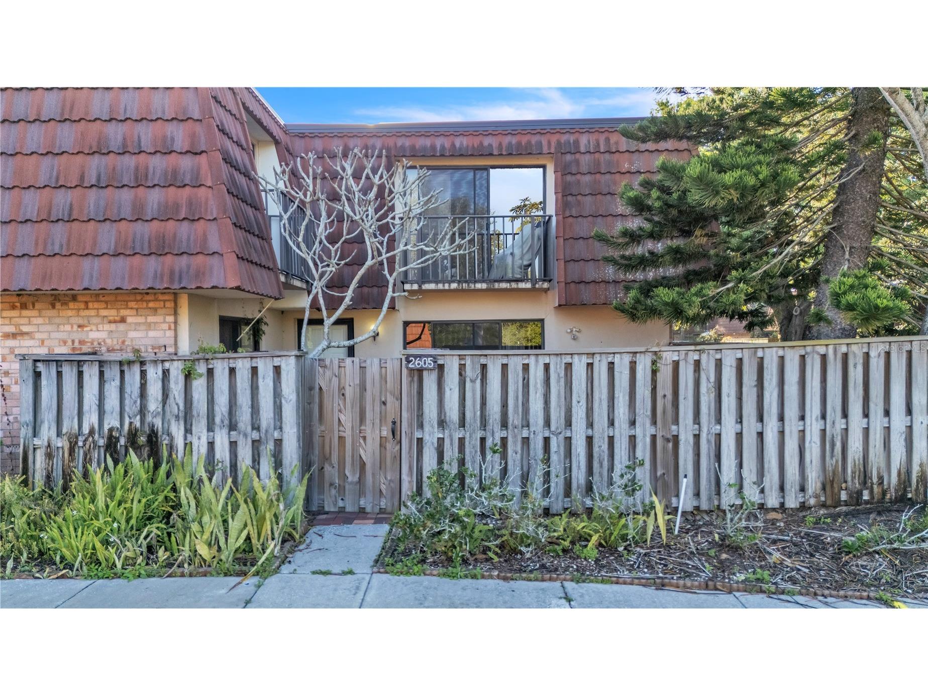 2605 10th Court Palm Harbor FL 34684 W7884106 image8