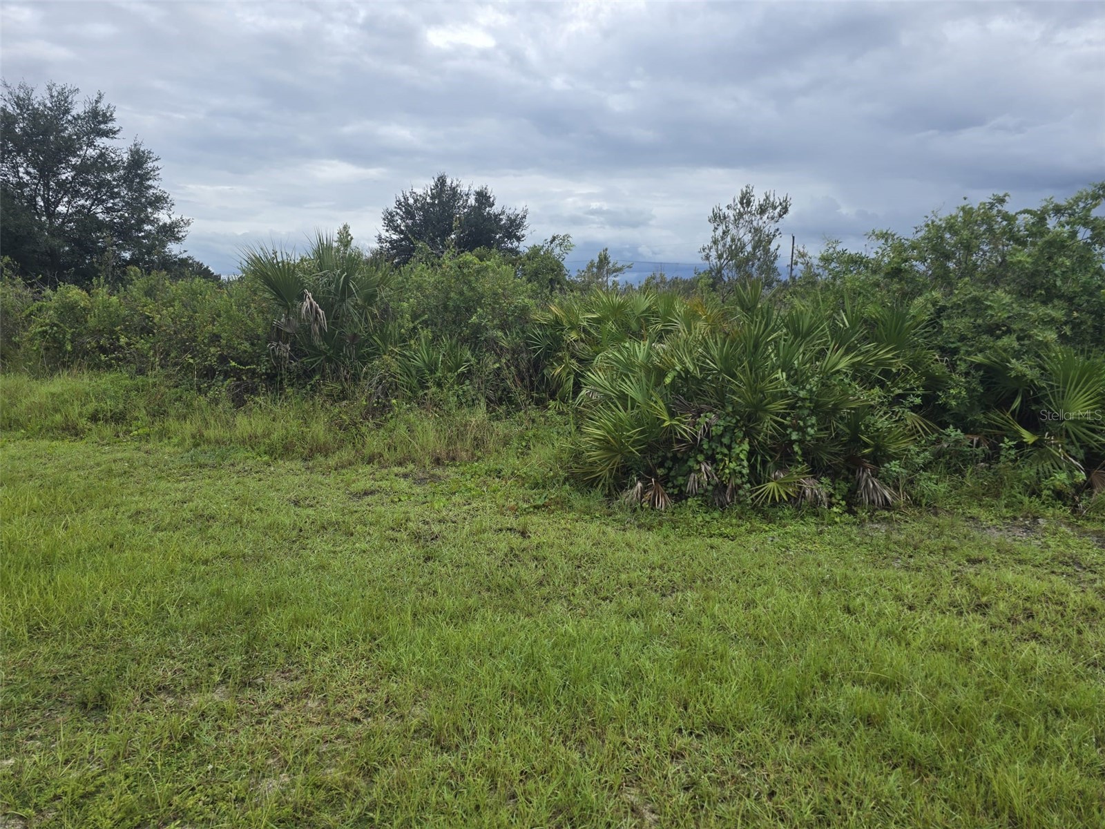 2605 70th Street W Lehigh Acres FL 33971 TB8472941 image8
