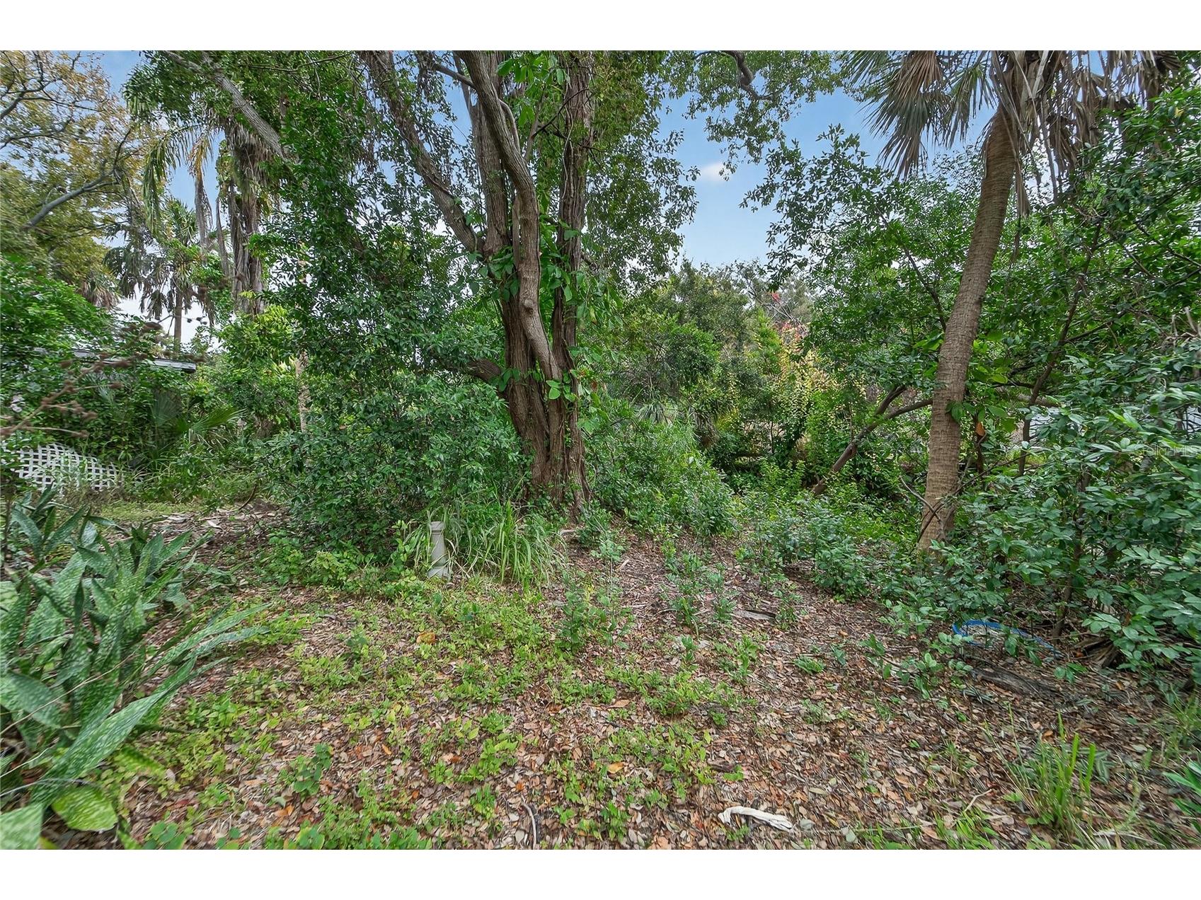 2605 Brae Burn Drive Largo FL 33770 TB8456666 image10