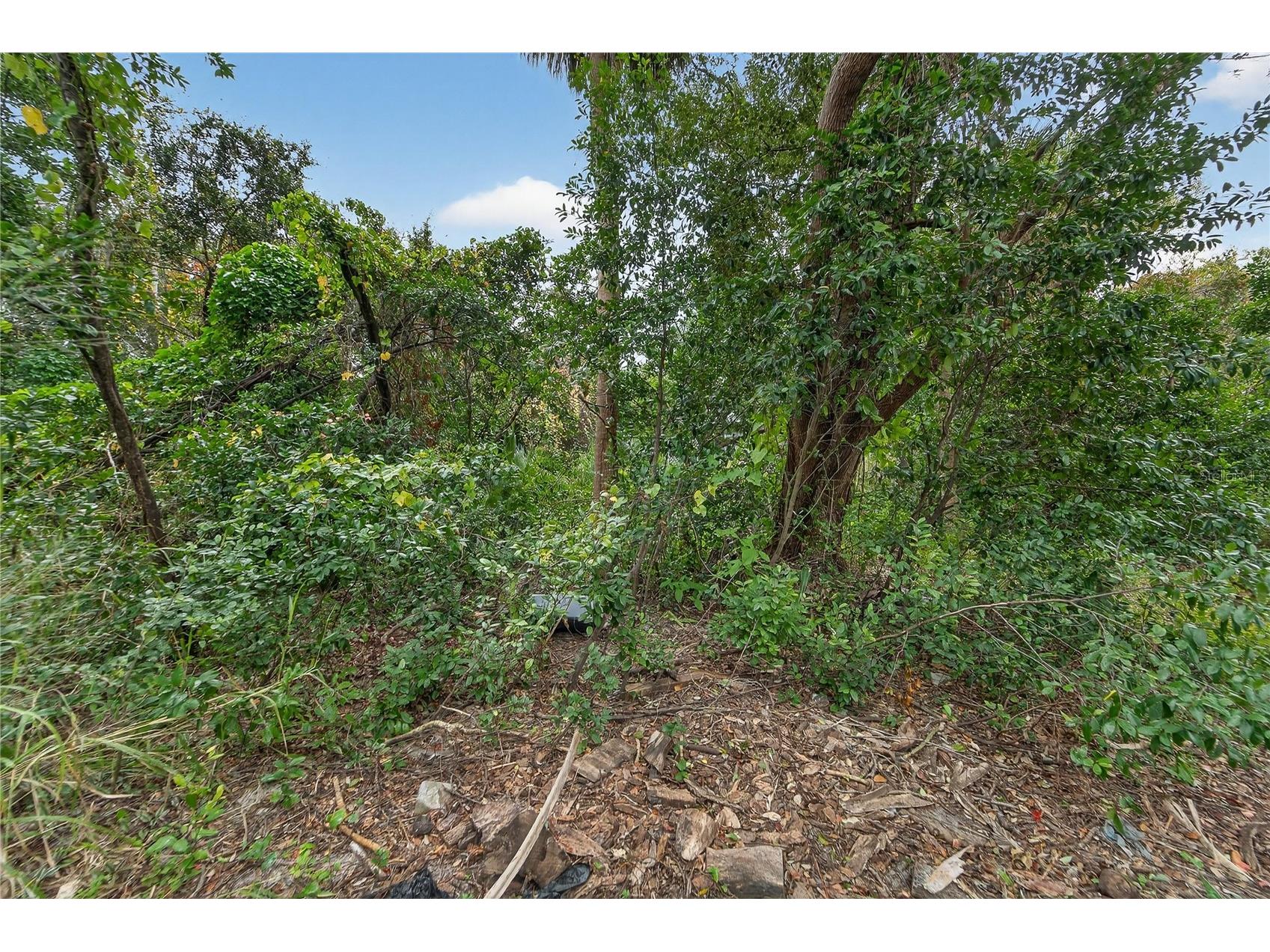 2605 Brae Burn Drive Largo FL 33770 TB8456666 image13
