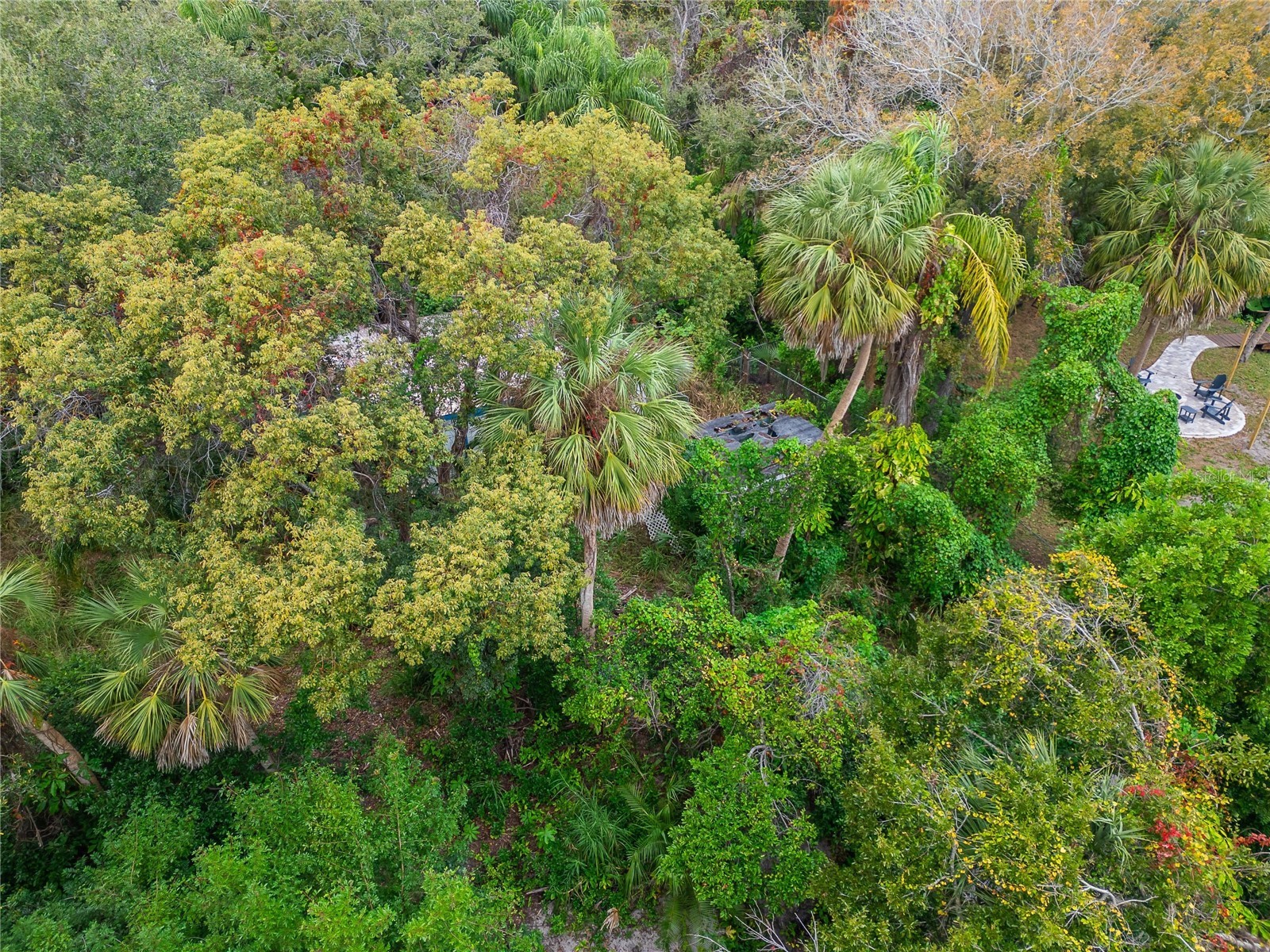 2605 Brae Burn Drive Largo FL 33770 TB8456666 image14