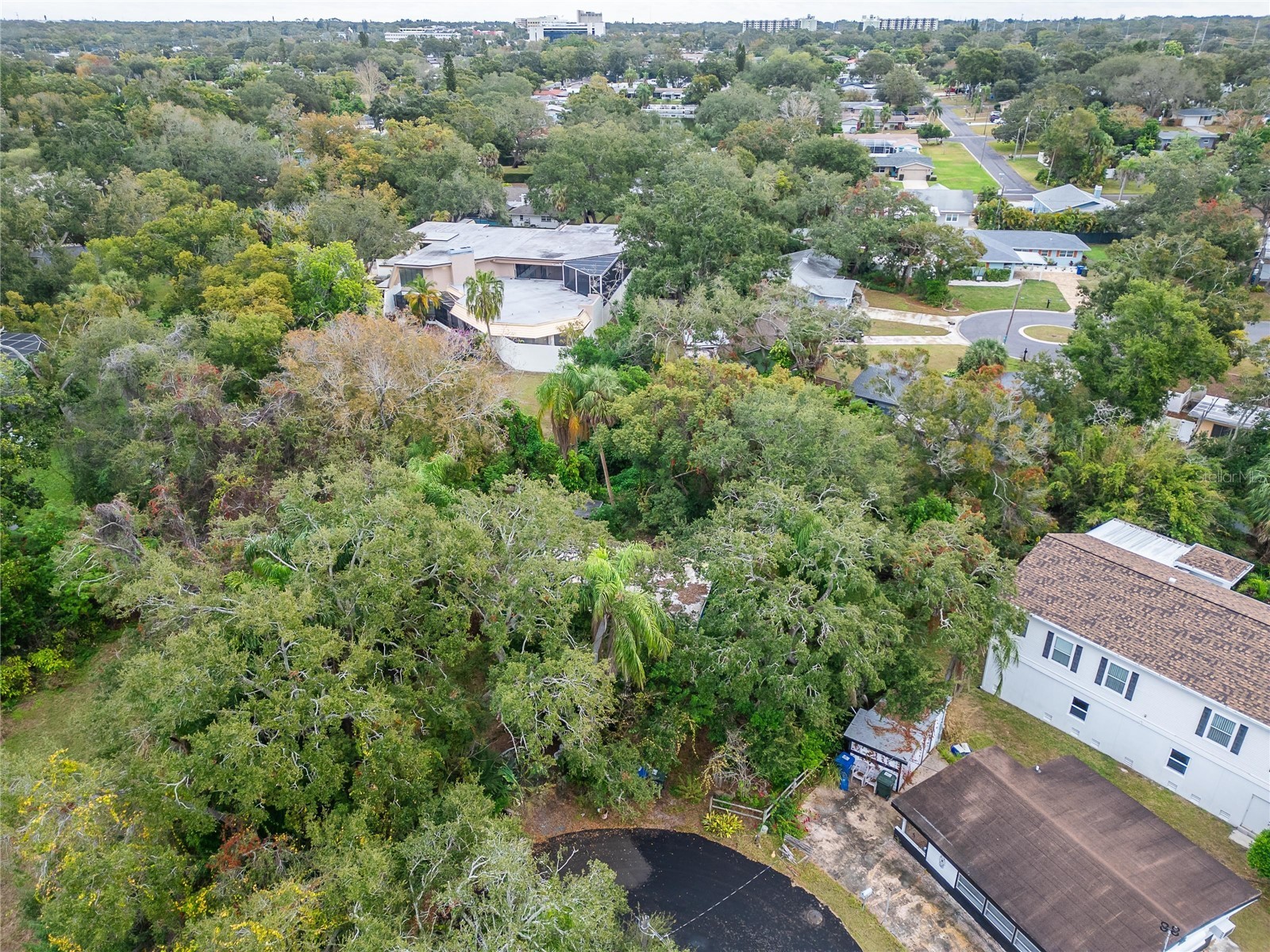 2605 Brae Burn Drive Largo FL 33770 TB8456666 image15