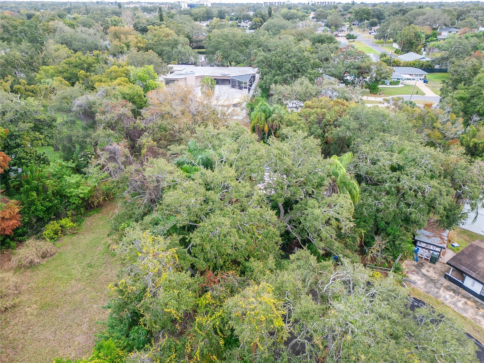 2605 Brae Burn Drive Largo FL 33770 TB8456666 image16