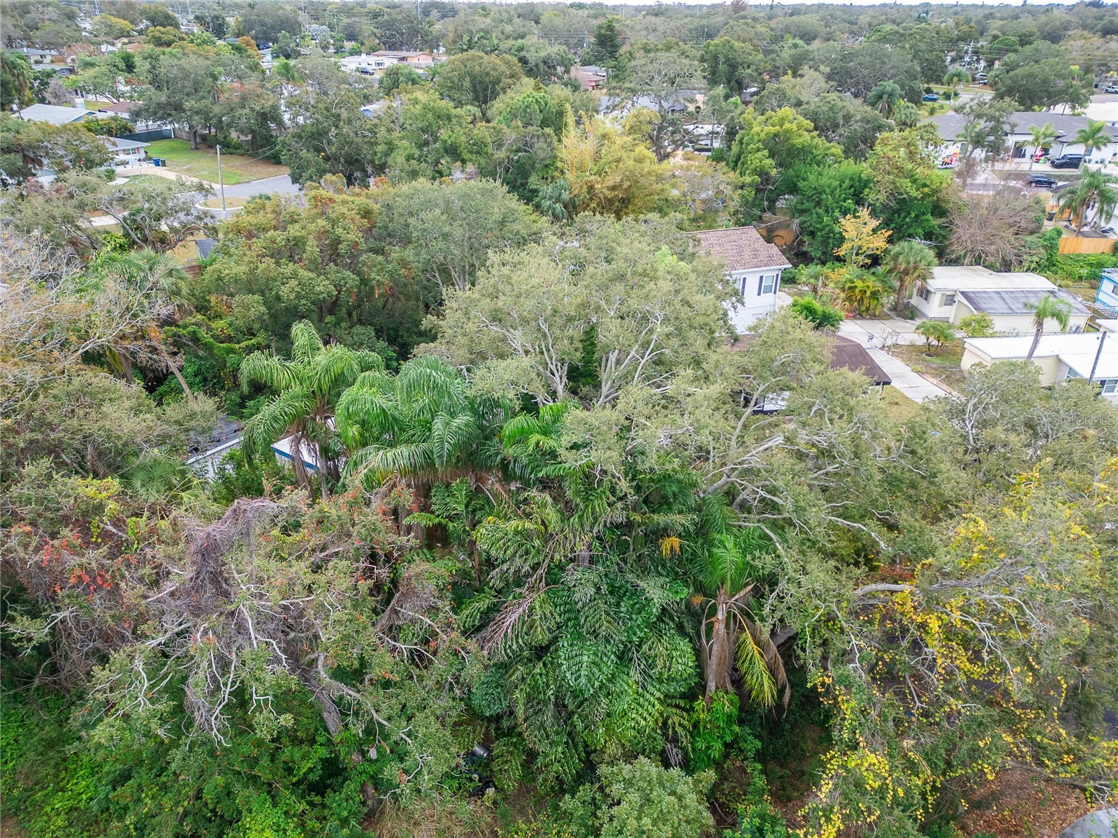 2605 Brae Burn Drive Largo FL 33770 TB8456666 image17