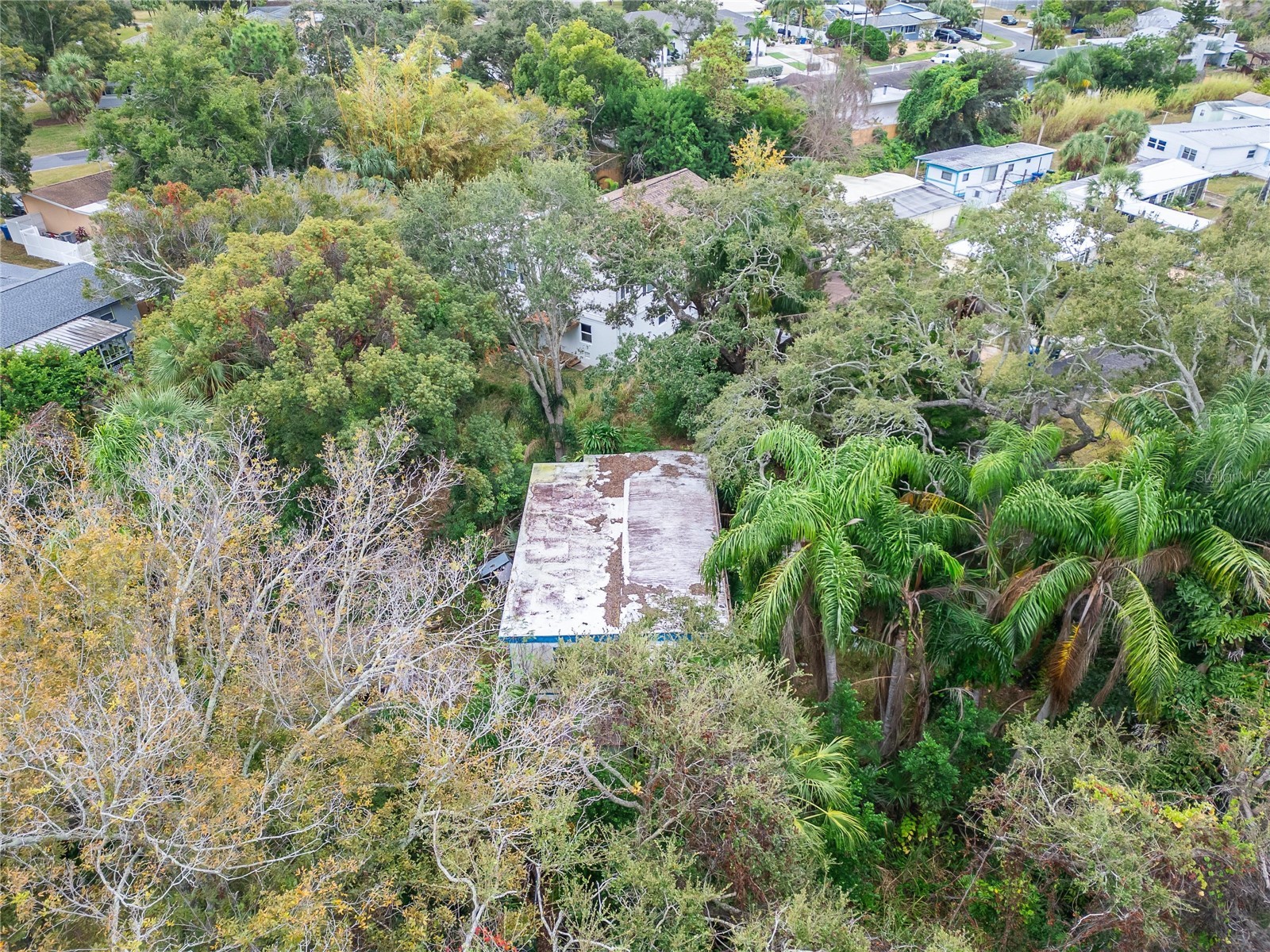 2605 Brae Burn Drive Largo FL 33770 TB8456666 image18