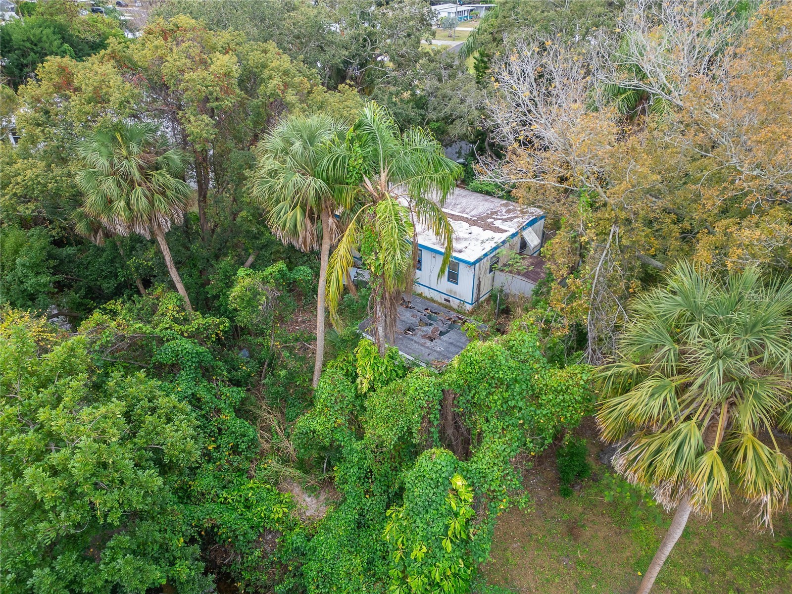 2605 Brae Burn Drive Largo FL 33770 TB8456666 image20