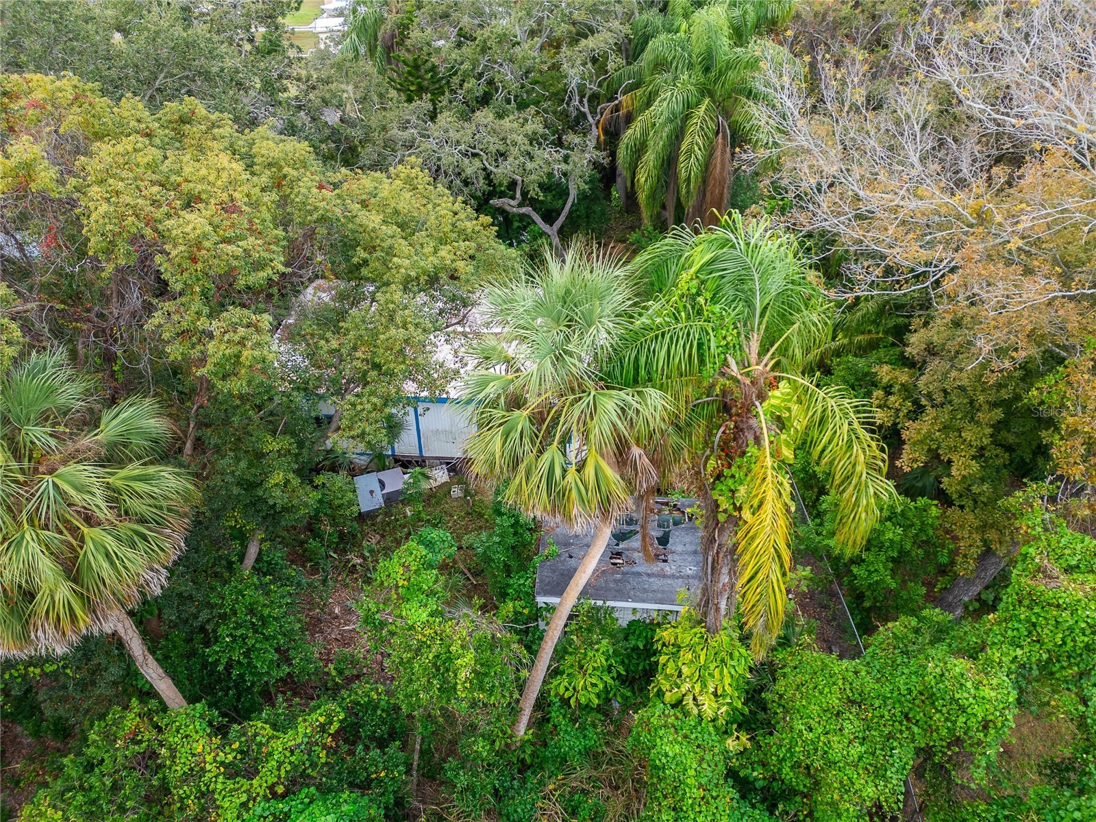 2605 Brae Burn Drive Largo FL 33770 TB8456666 image21
