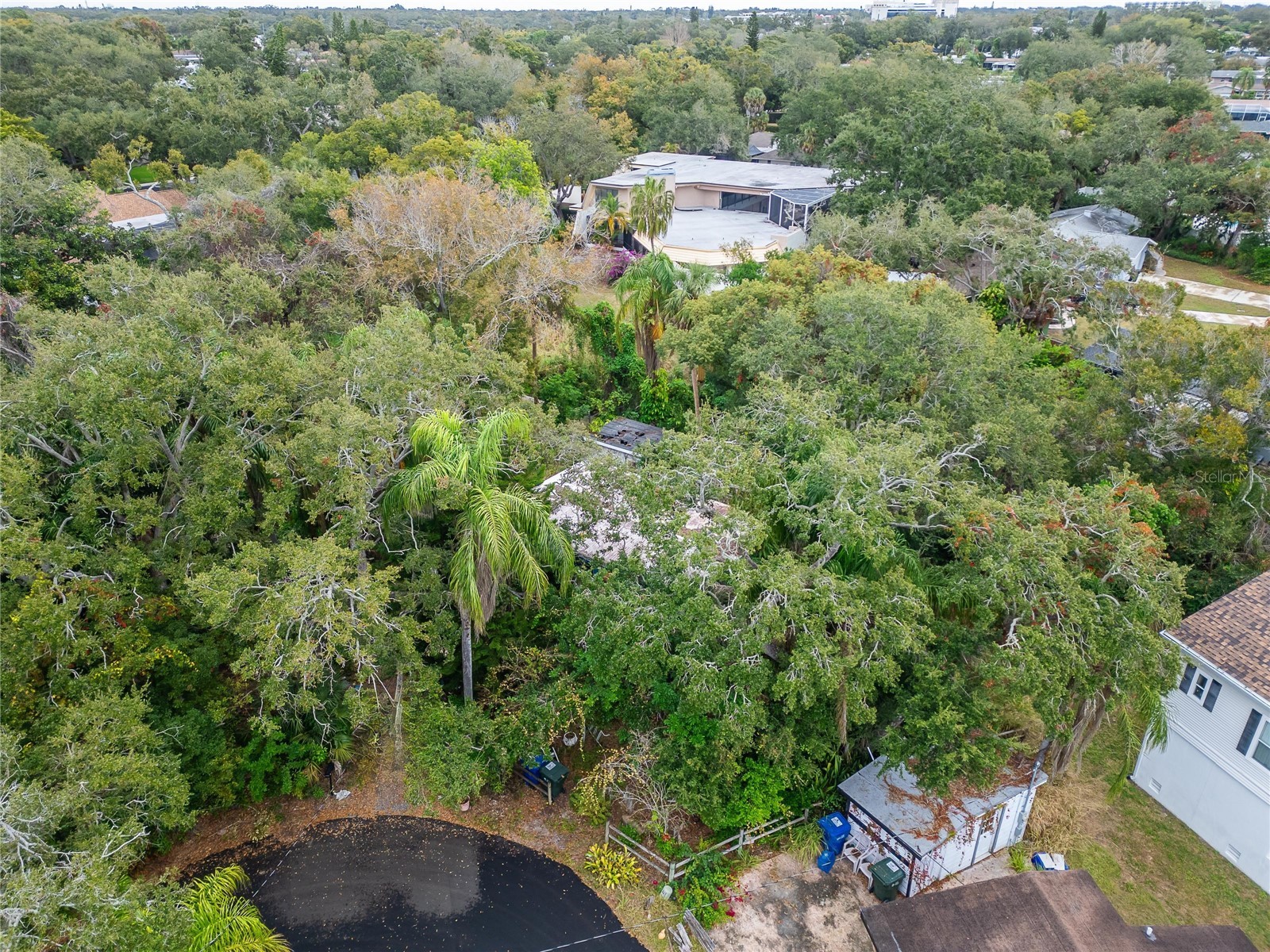 2605 Brae Burn Drive Largo FL 33770 TB8456666 image30