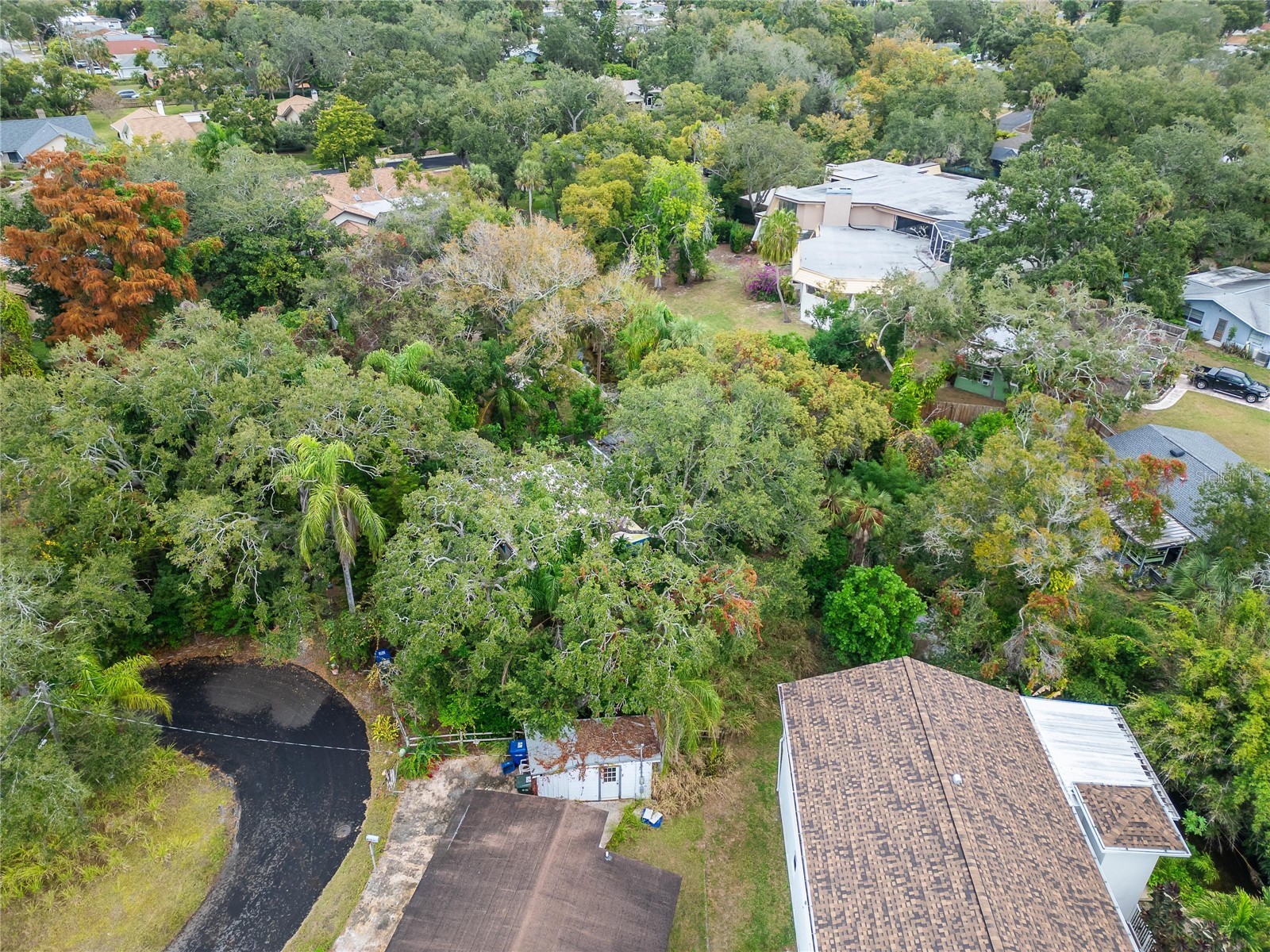 2605 Brae Burn Drive Largo FL 33770 TB8456666 image31