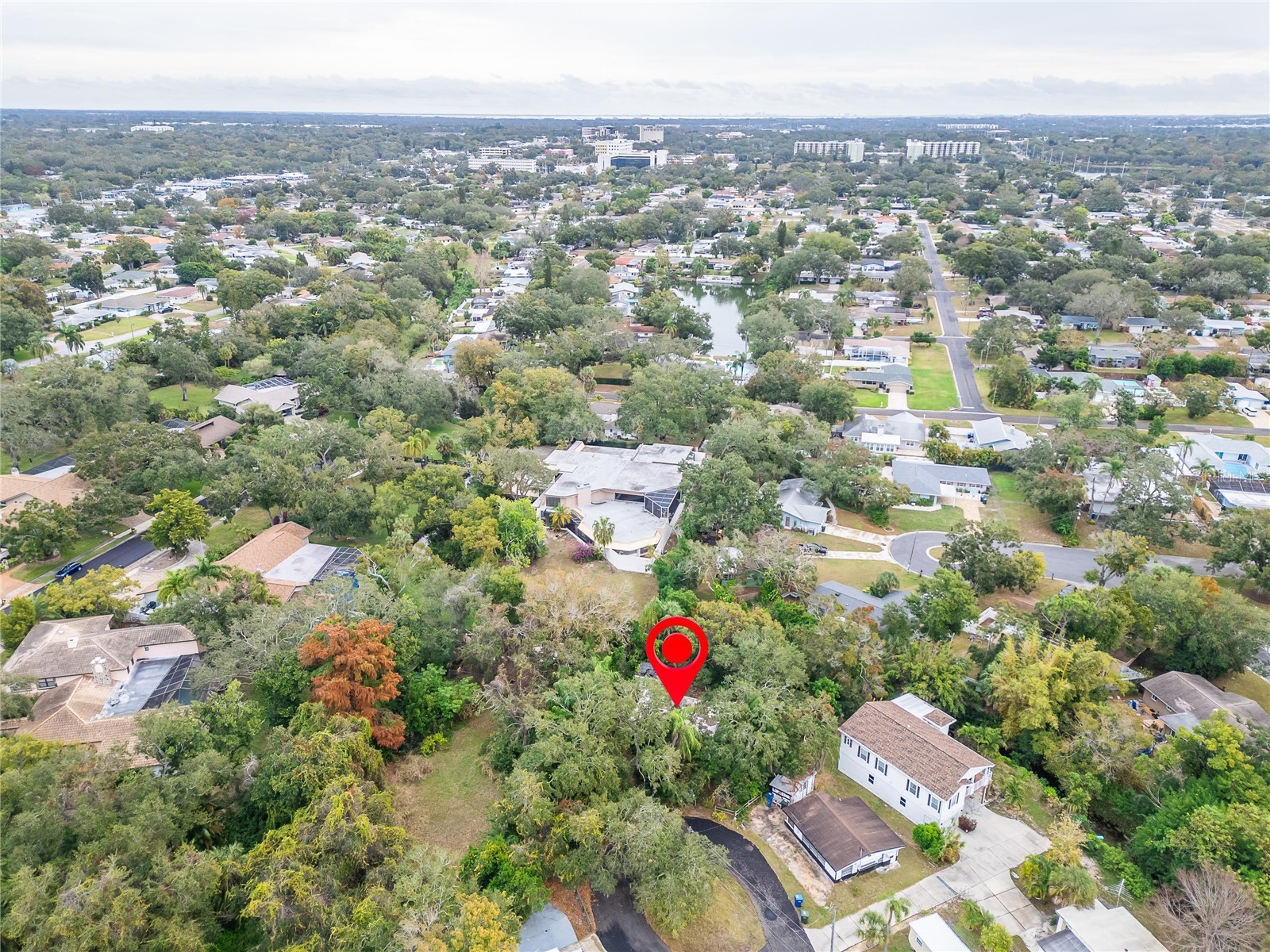 2605 Brae Burn Drive Largo FL 33770 TB8456666 image4