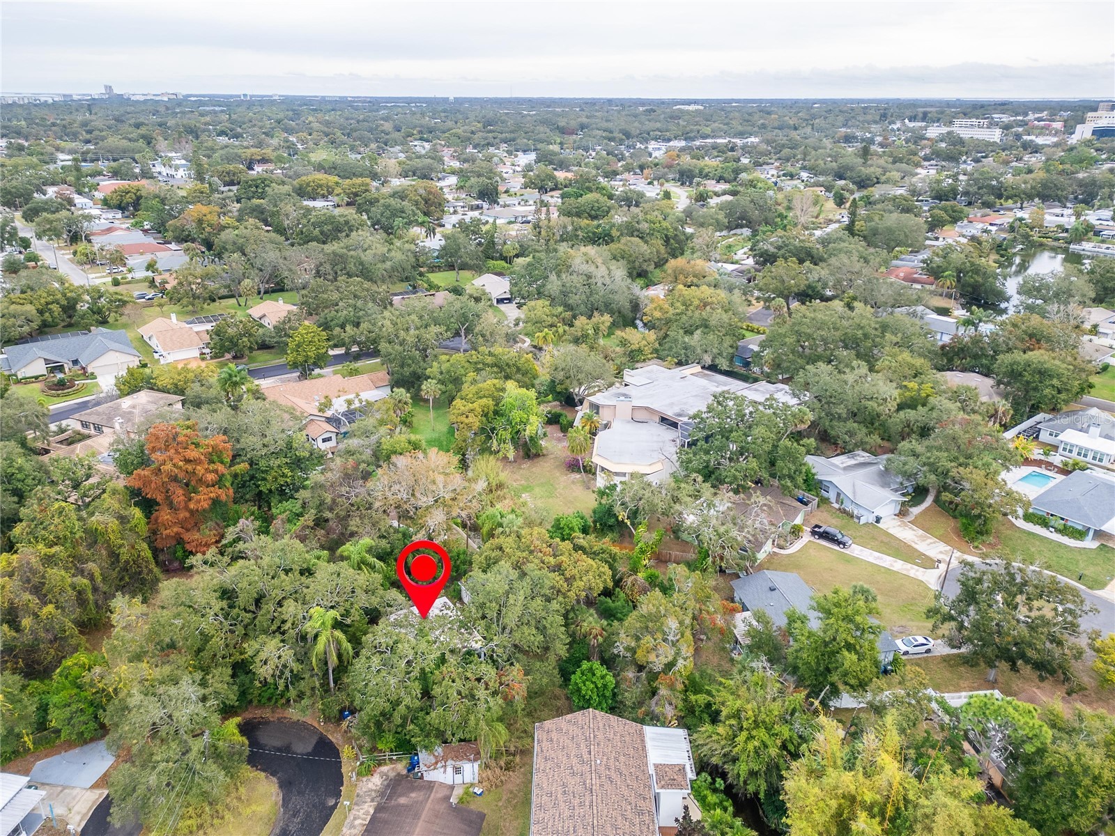 2605 Brae Burn Drive Largo FL 33770 TB8456666 image5
