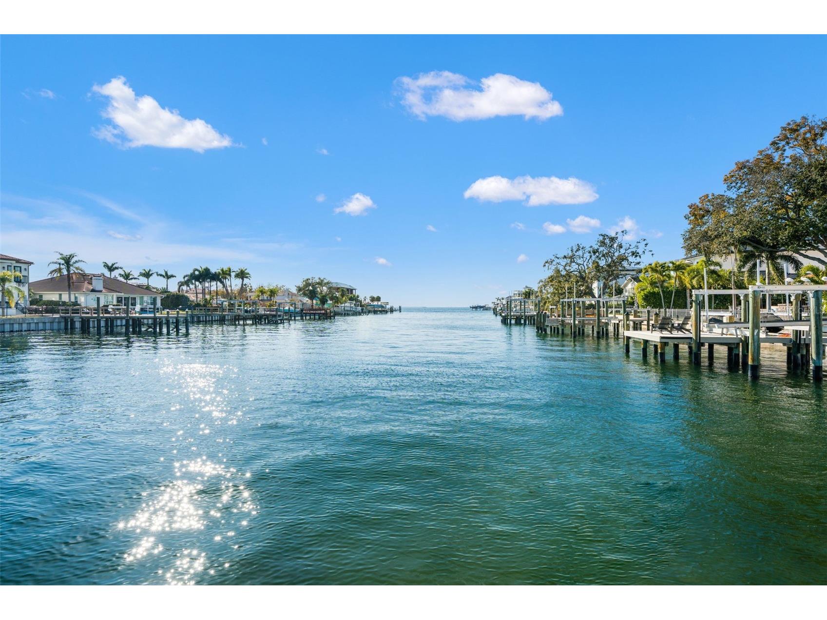 2605 S Beach Drive Tampa FL 33629 TB8475908 image1