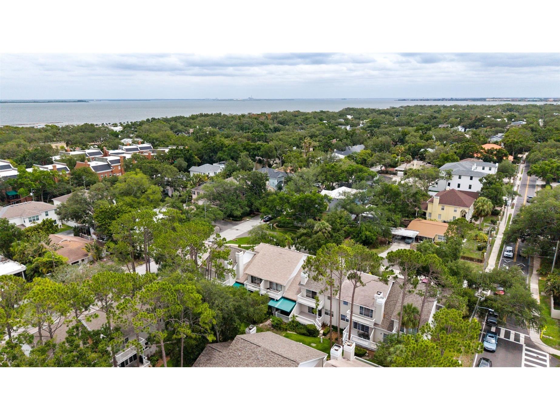 2605 W Ballast Point Boulevard Tampa FL 33611 TB8515955 image38