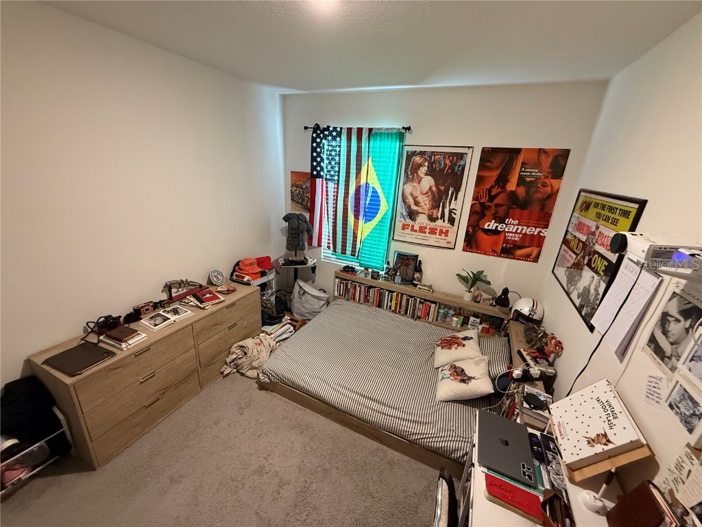 2606 Angel Falls Drive Davenport FL 33837 O6341096 image16