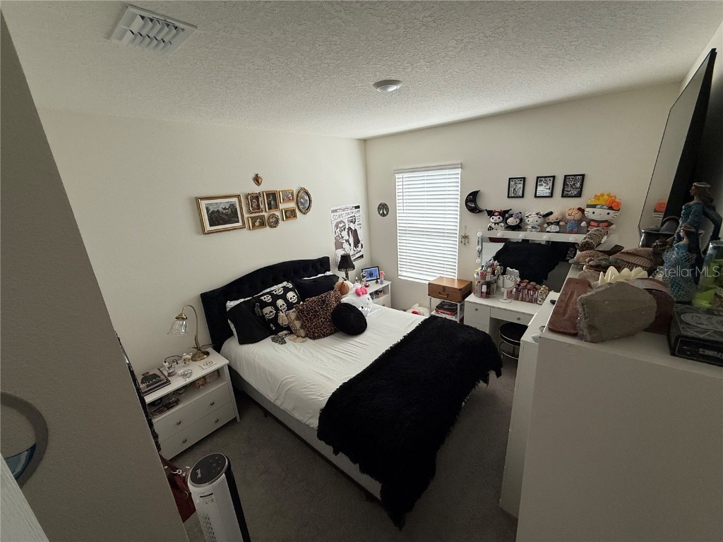 2606 Angel Falls Drive Davenport FL 33837 O6358523 image11