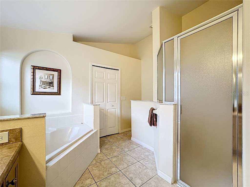 2606 Luiseno Way Kissimmee FL 34747 S5135701 image22