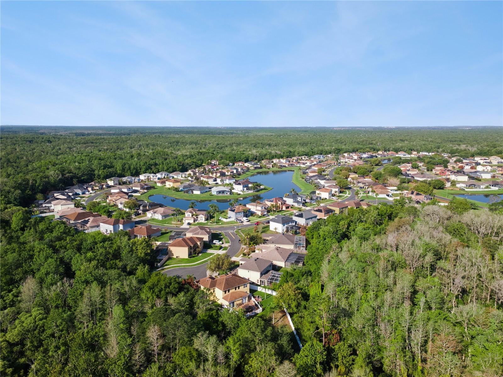 2606 Royal Fern Place Kissimmee FL 34758 O6391472 image42
