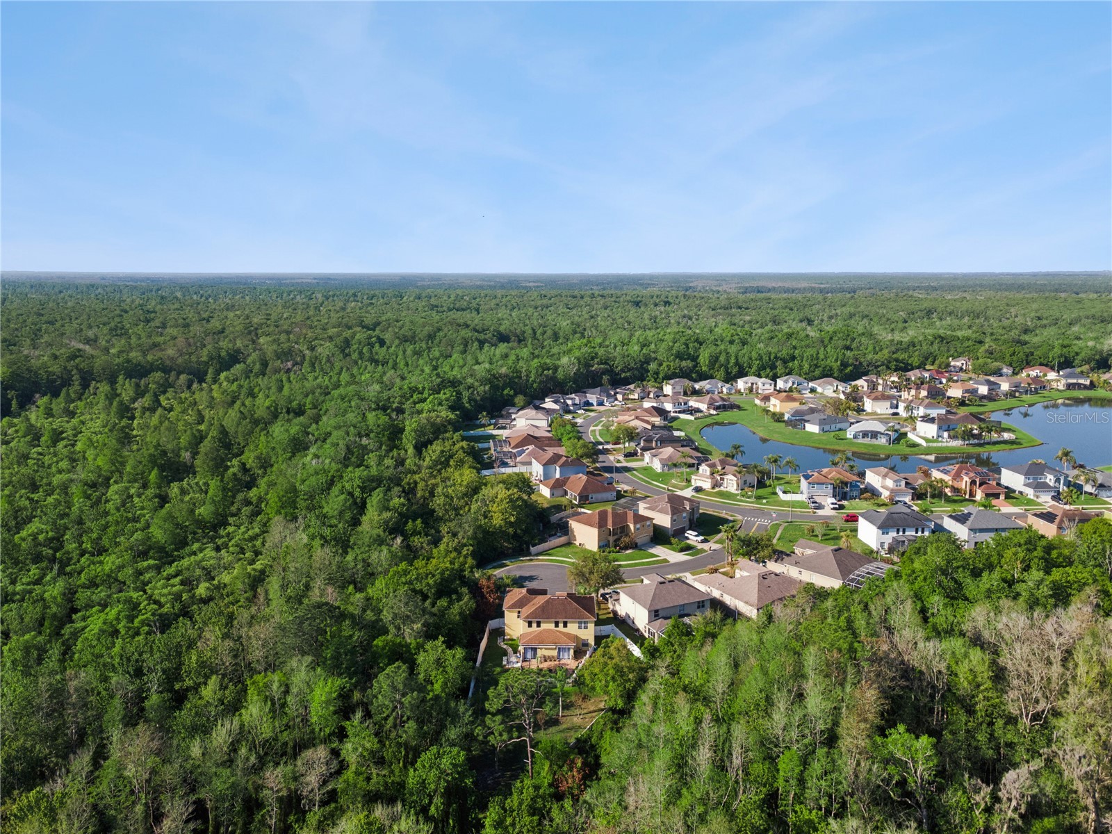 2606 Royal Fern Place Kissimmee FL 34758 O6391472 image46