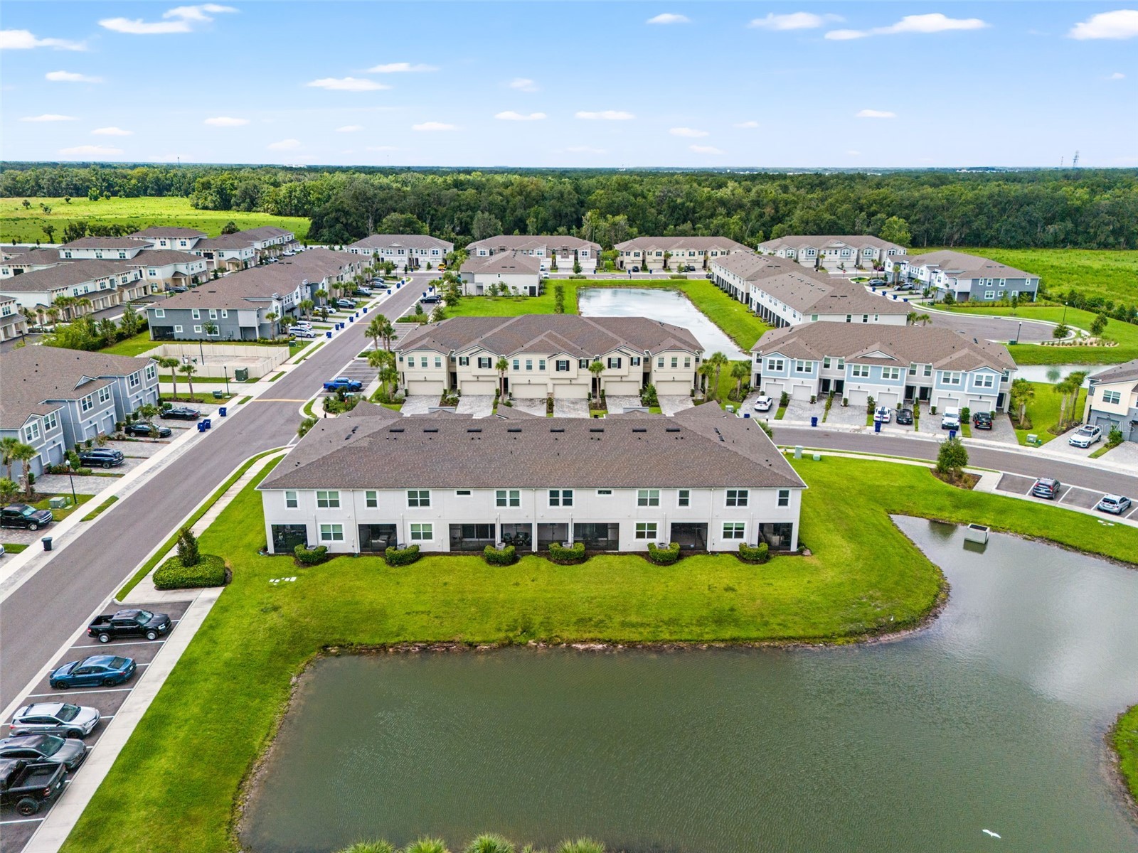 26069 Woven Wicker Bend Lutz FL 33559 TB8528175 image47