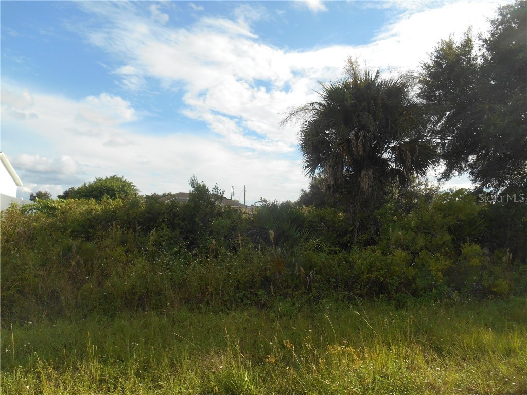 2607 58th Street W Lehigh Acres FL 33971 T3332027 image1