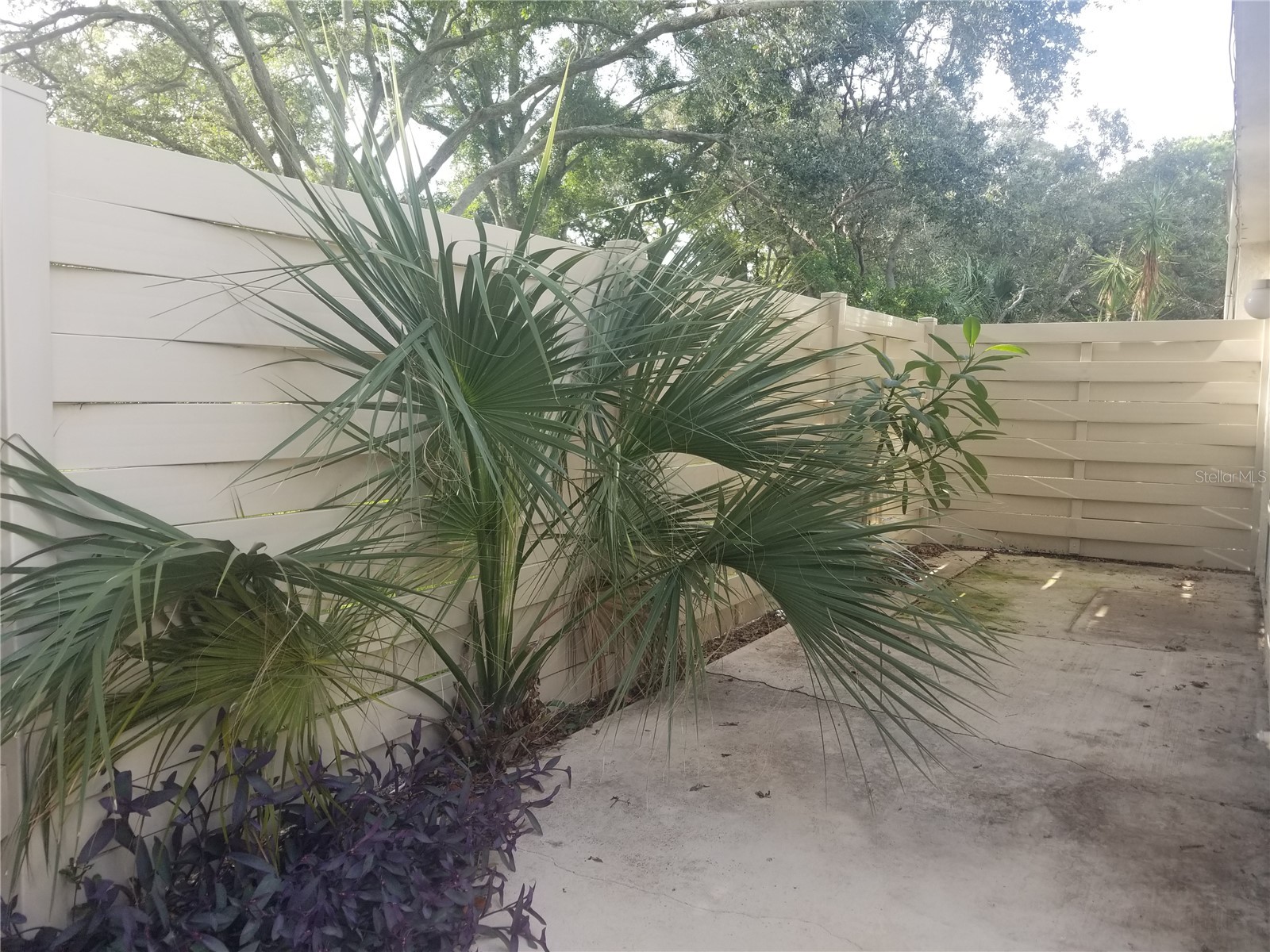 2607 Cedar View Court Clearwater FL 33761 TB8495166 image20