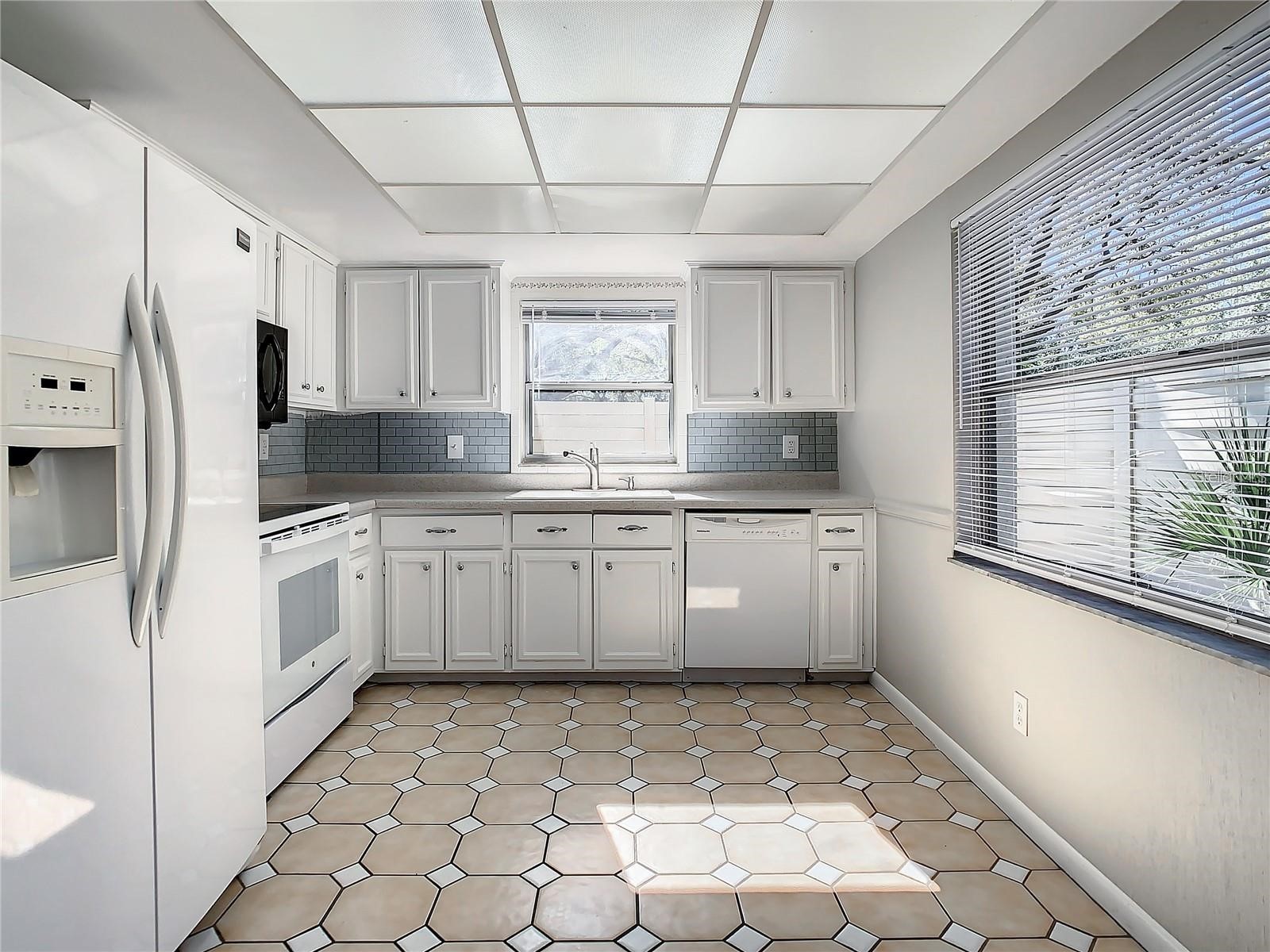 2607 Cedar View Court Clearwater FL 33761 TB8495166 image8