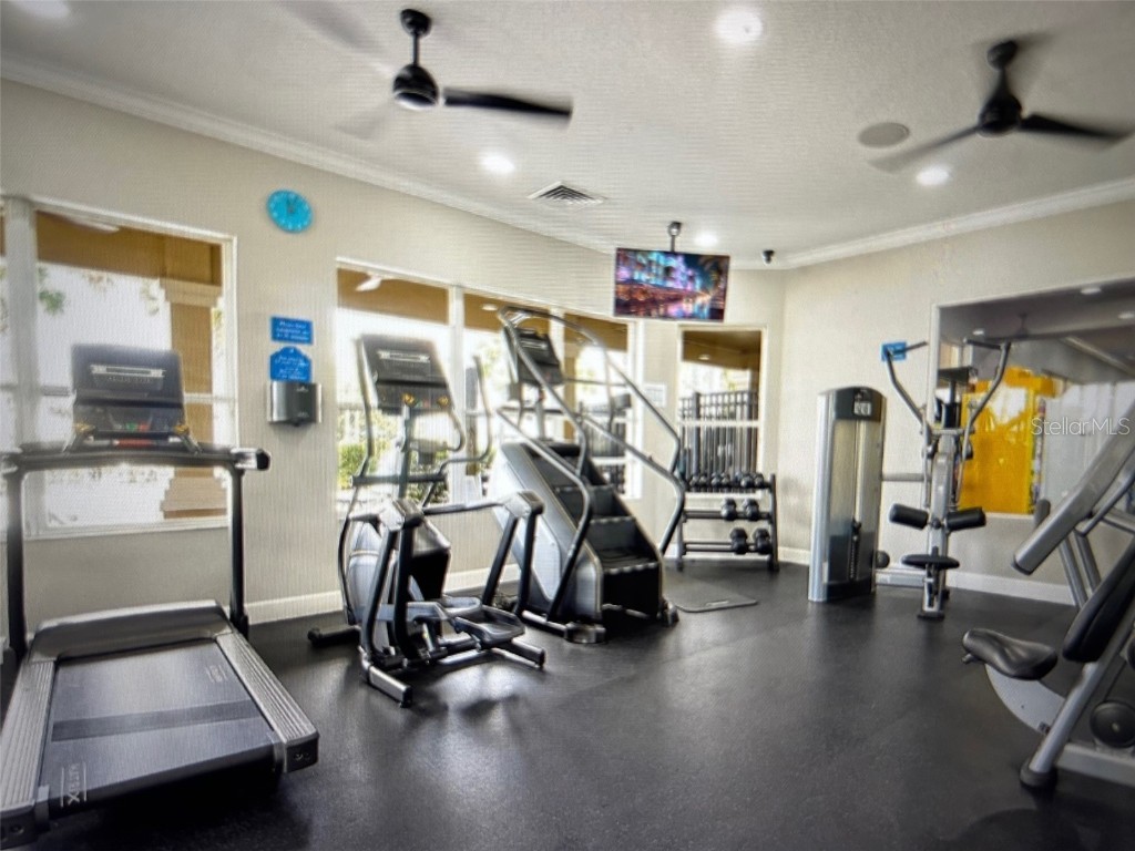 2607 Daulby Street Kissimmee FL 34747 O6365819 image38