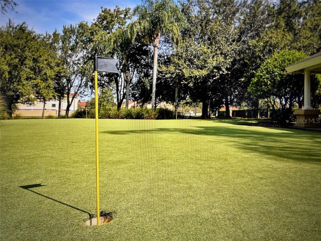 2607 Daulby Street Kissimmee FL 34747 O6365819 image43