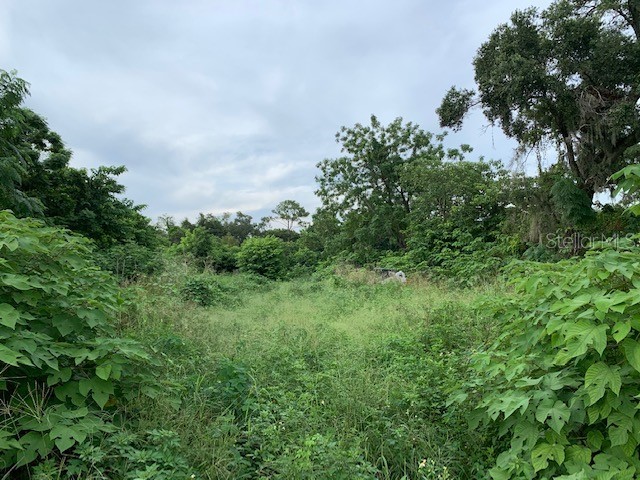 2607 E Semoran Boulevard Apopka FL 32703 O6033508 image1