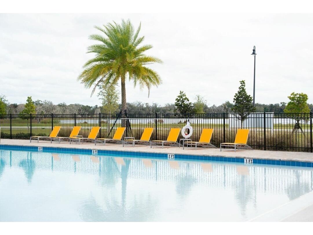 2607 Harrier Court #ECLIPSE Apopka FL 32703 O6397312 image15