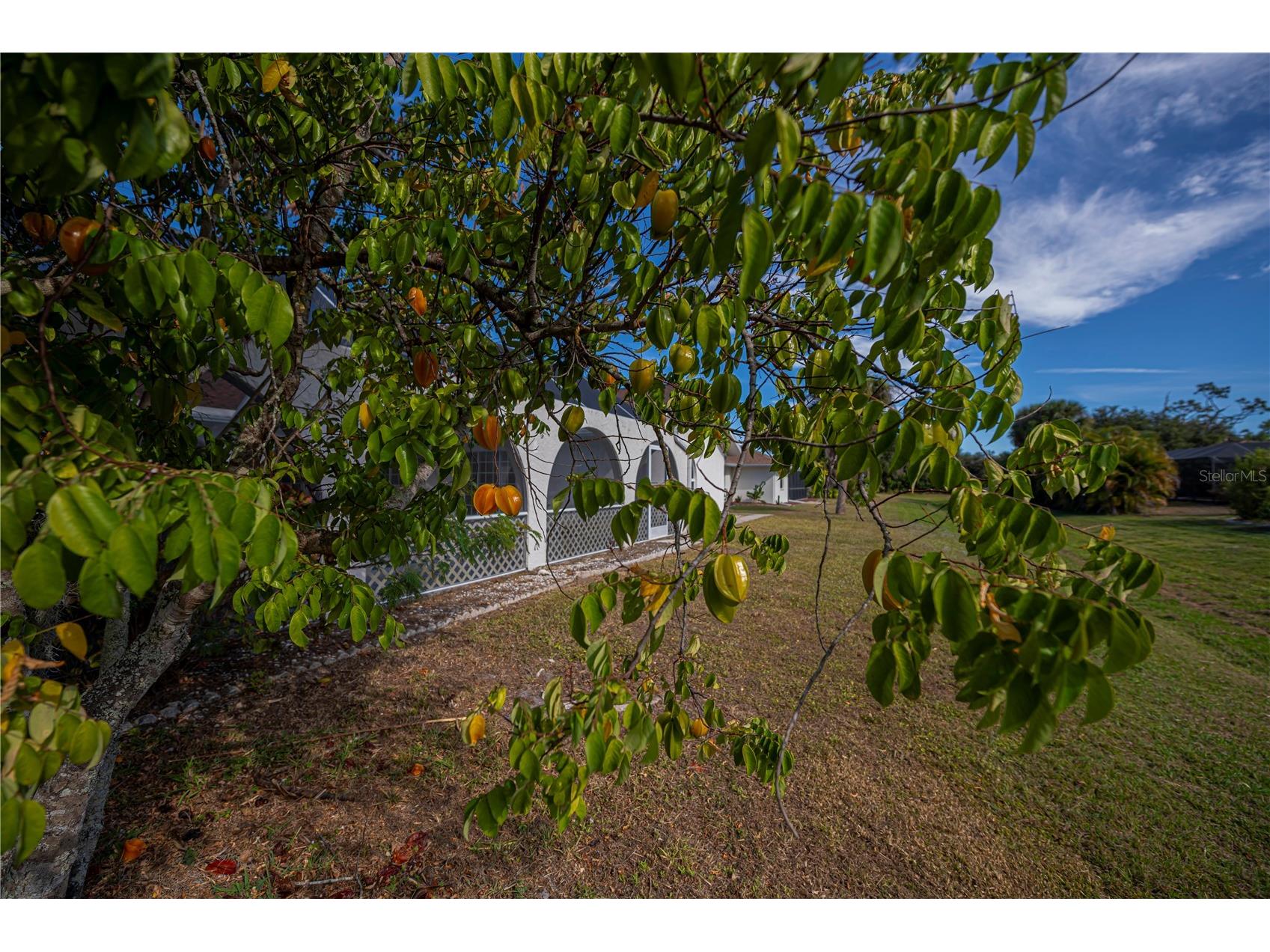 26071 Paysandu Drive Punta Gorda FL 33983 C7519210 image63