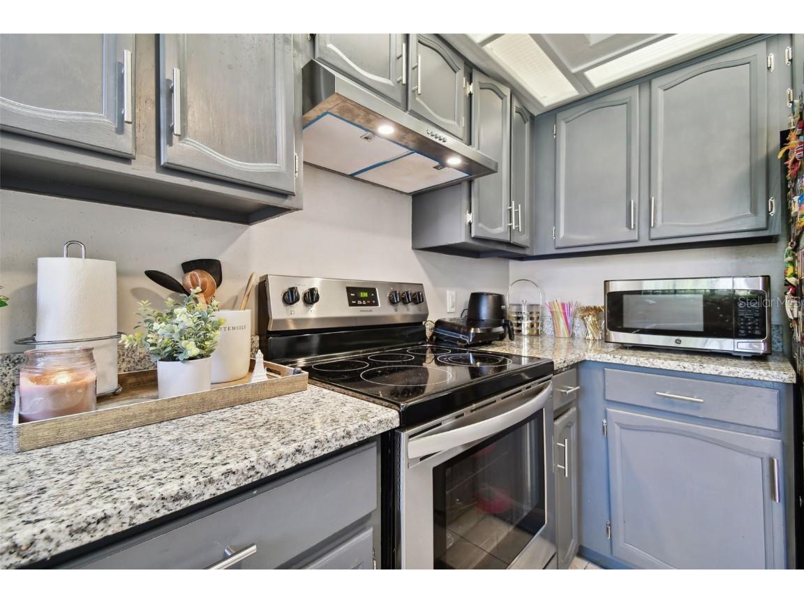 2608 Bentley Drive Palm Harbor FL 34684 TB8432039 image14