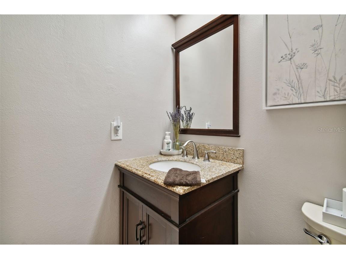 2608 Bentley Drive Palm Harbor FL 34684 TB8432039 image25