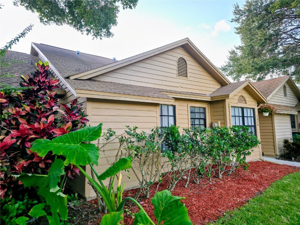 2608 Bentley Drive Palm Harbor FL 34684 TB8432039 image3